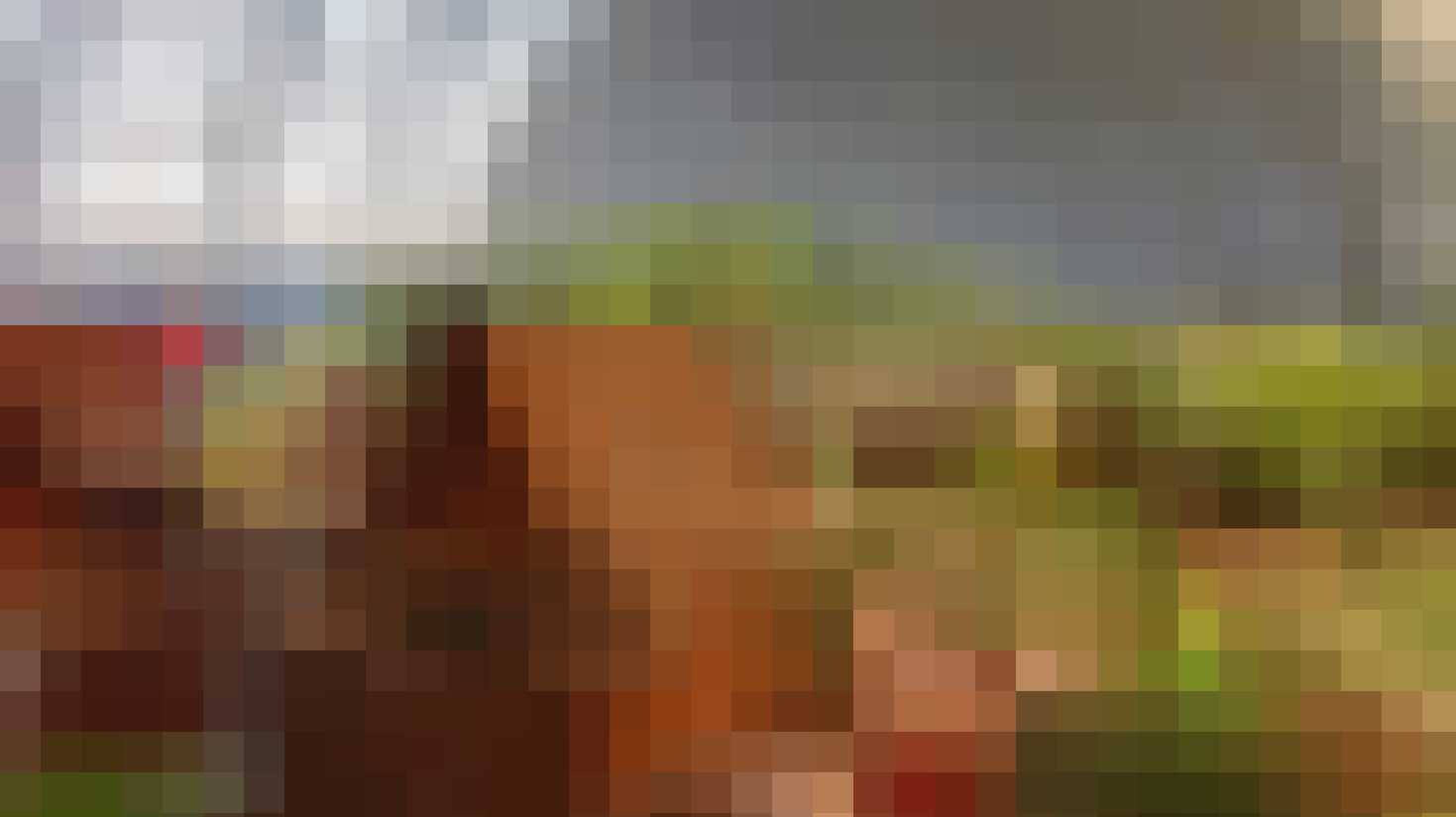 het grootste tropische zwemparadijs