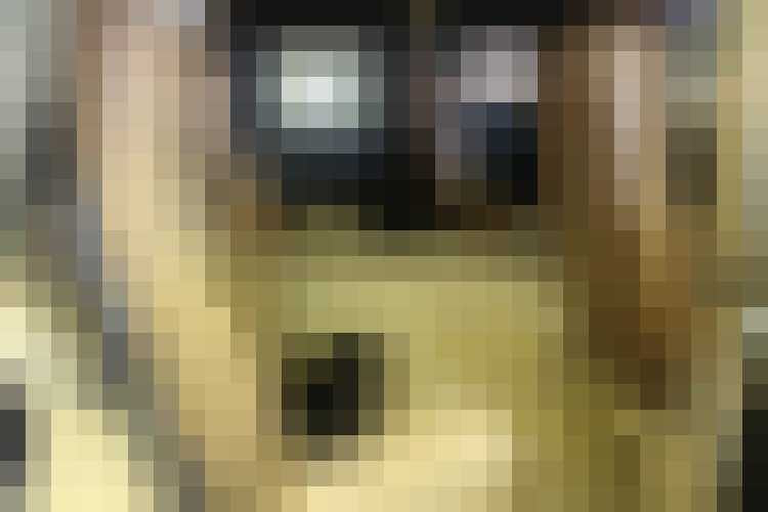 Hummer H1 te koop Gewoonvoorhem