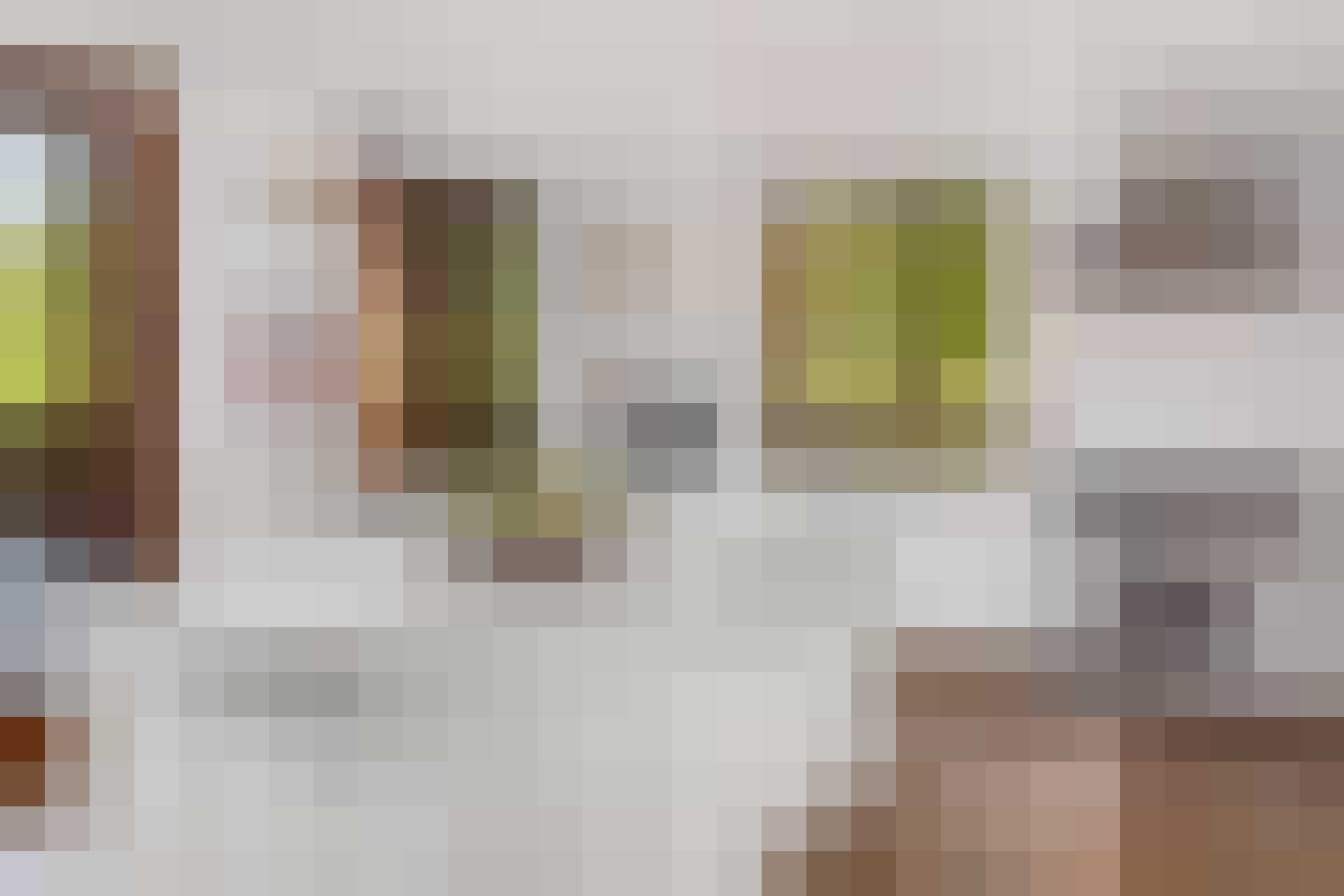 Bruce Willis' nederige stulpje