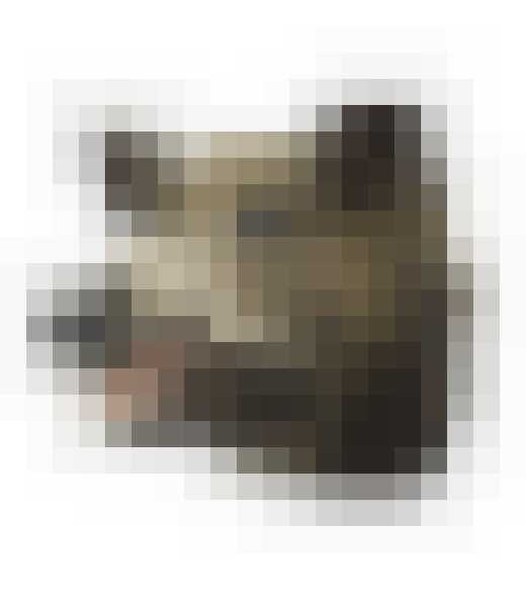 Trofee-Wild-zwijn-cavetown gewoonvoorhem