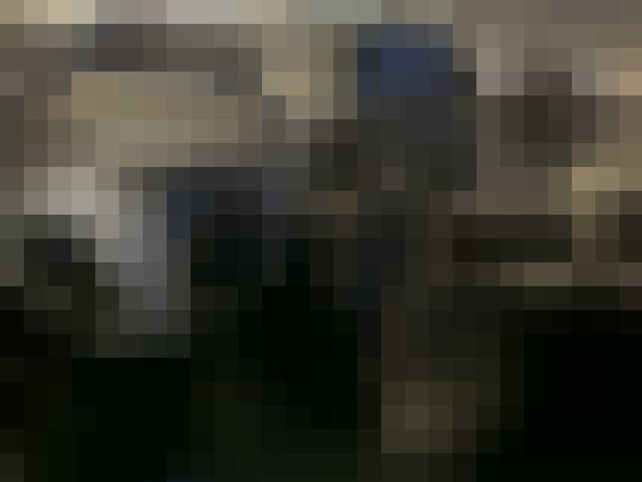 Fiat Multipla Max Verstappen Gewoonvoorhem