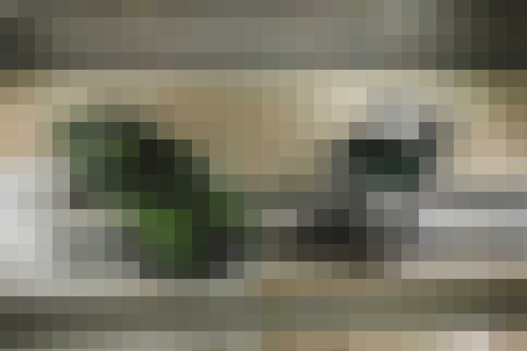 Stars and Stripes 2019 Dodge