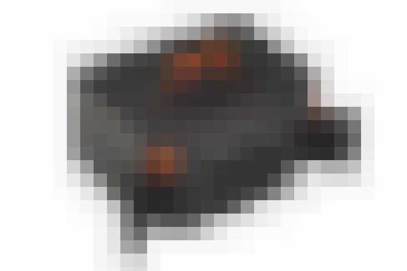 Bitset gewoonvoorhem 1