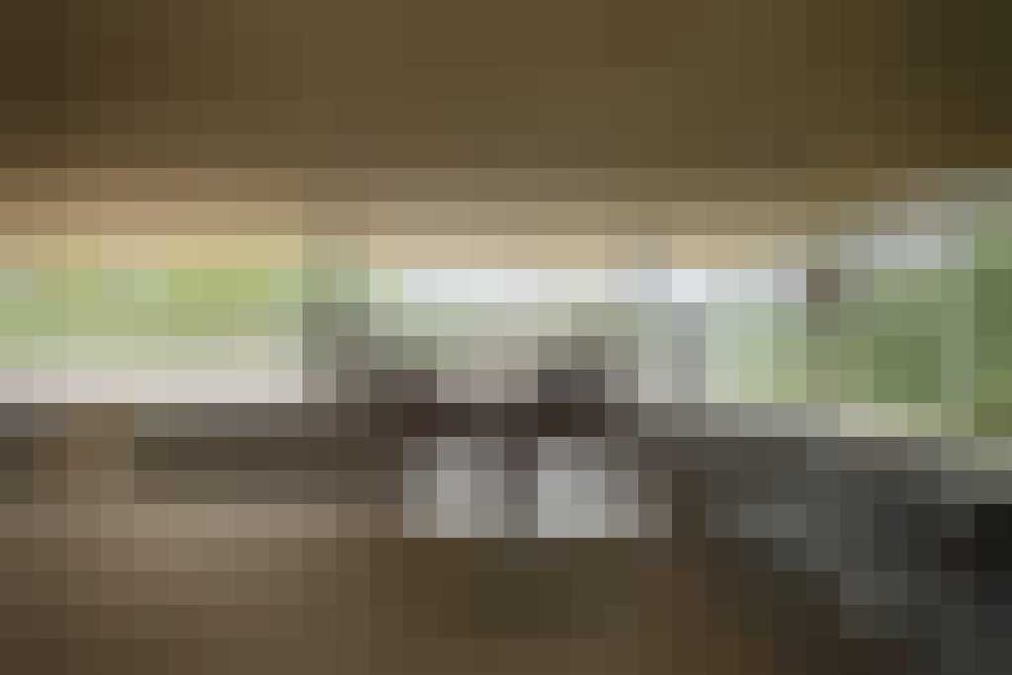 villa middenin de jungle