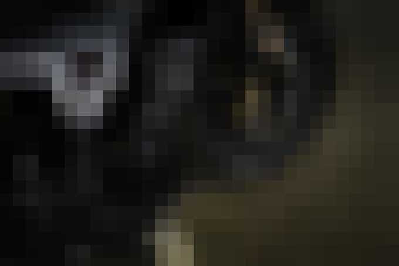 Kawasaki Ninja 250 Droog Moto DM-15