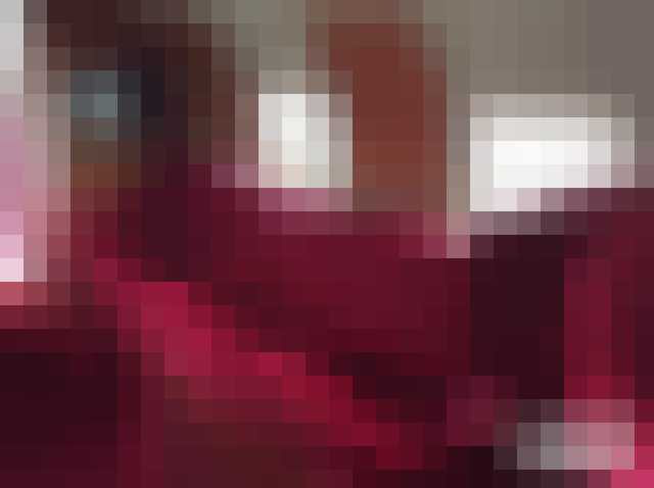 privevliegtuig elvis presley