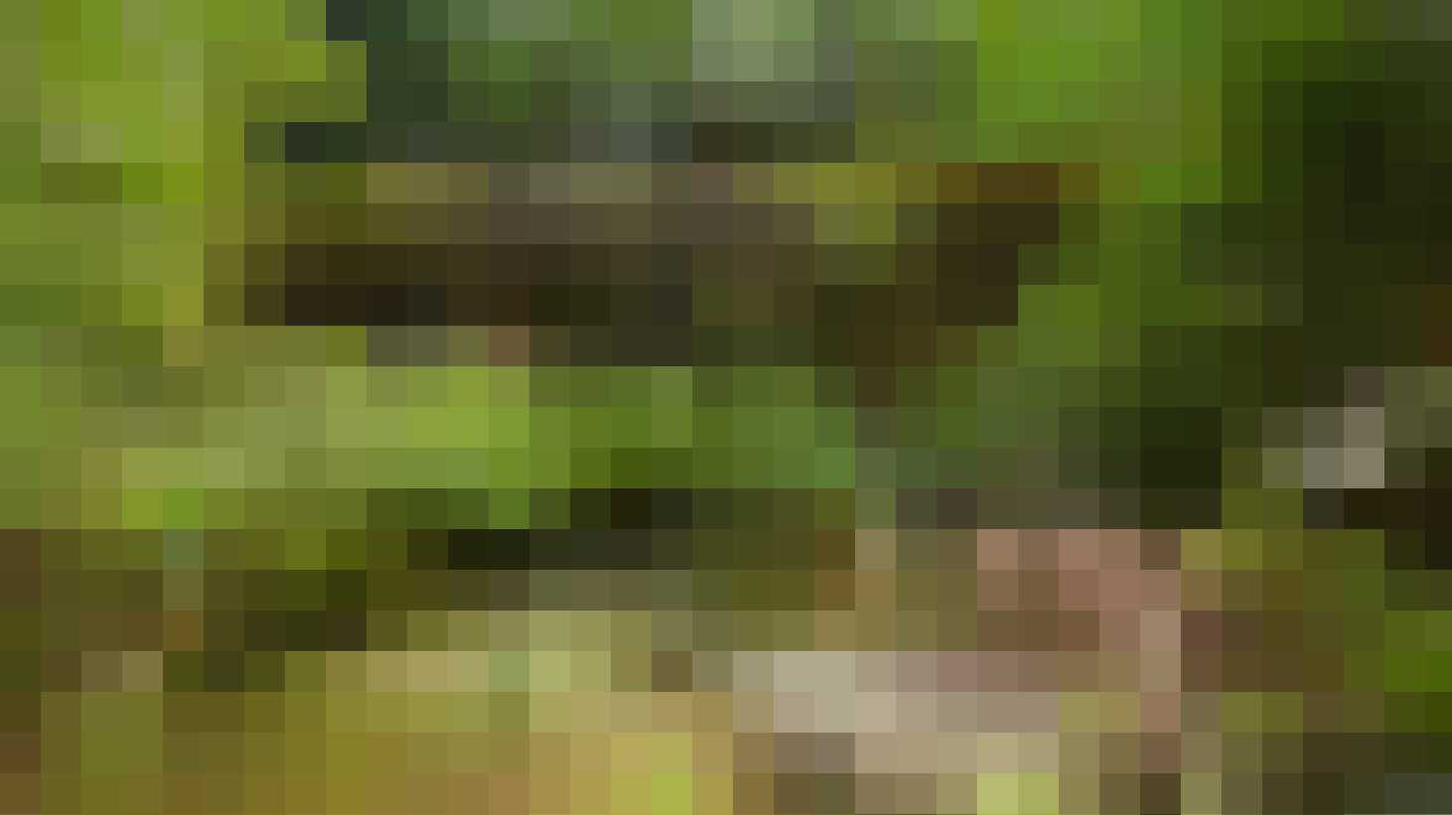 het grootste tropische zwemparadijs