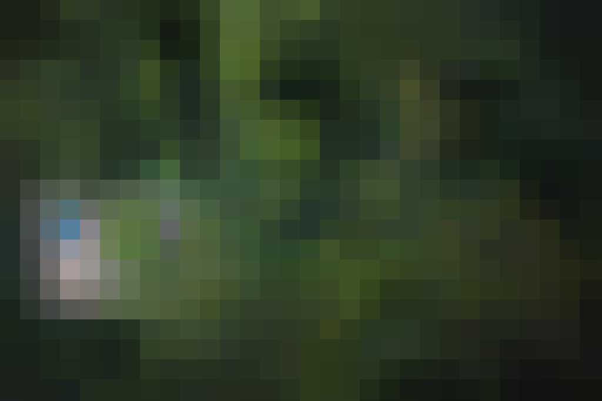 villa middenin de jungle