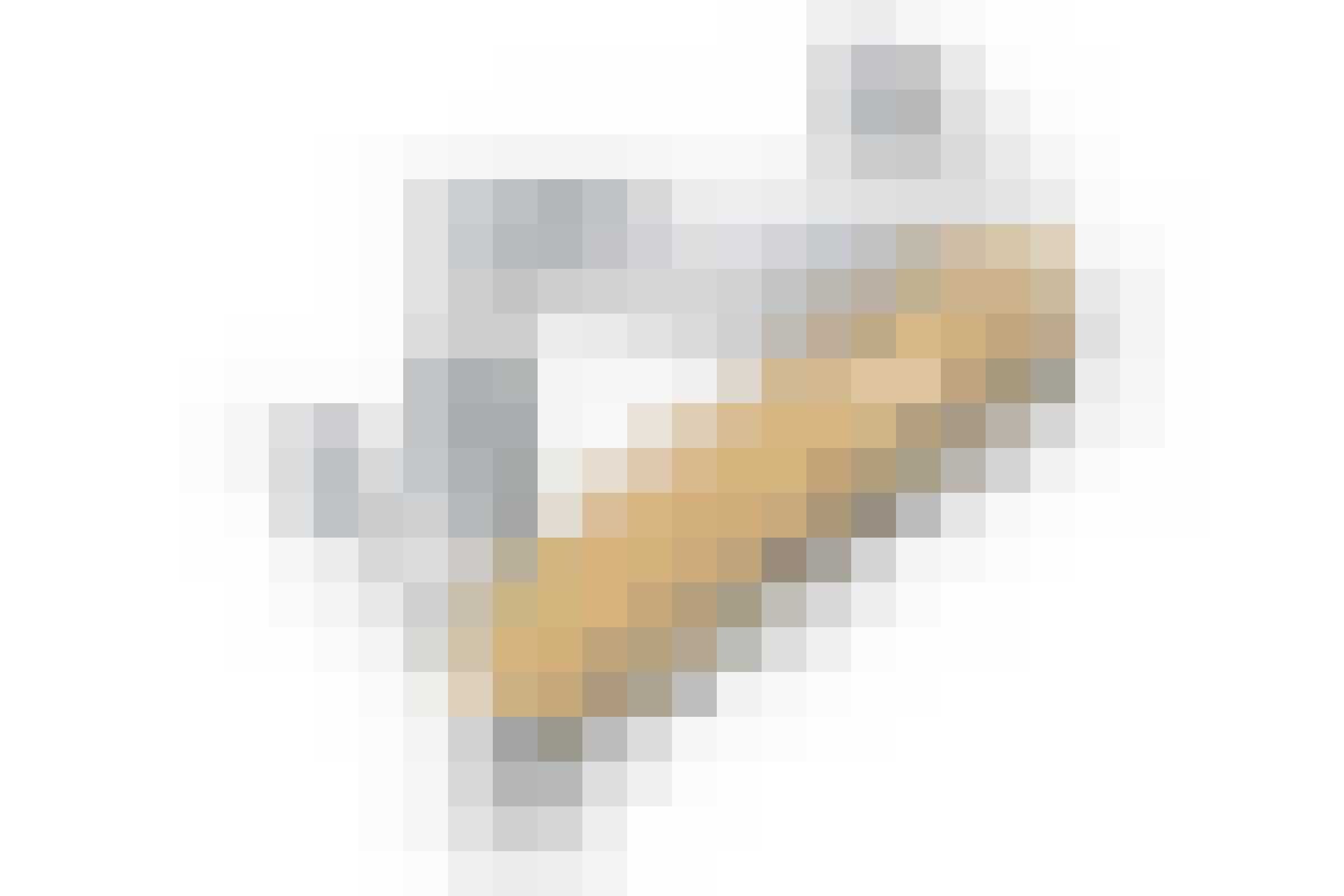 Victorinox Limited Edition Champagne Gold Gewoonvoorhem