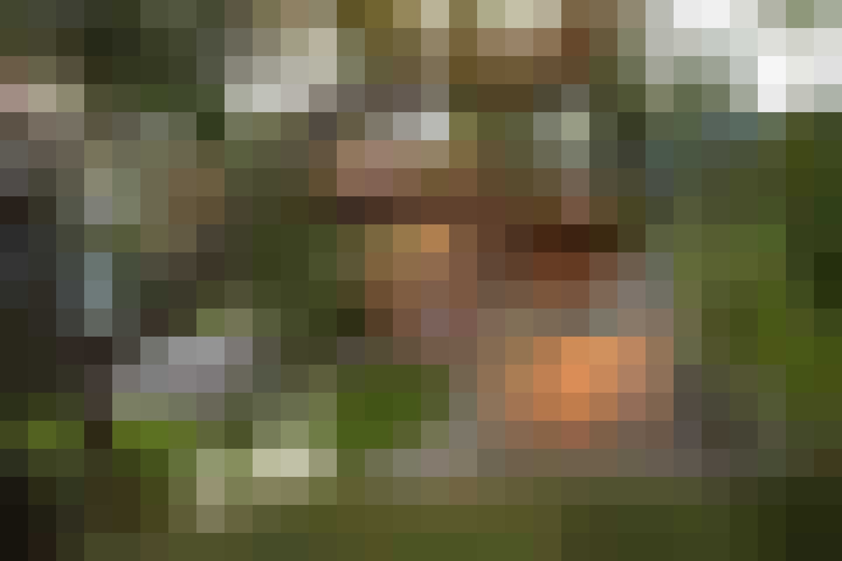 luxe chalet Tirol gewoonvoorhem