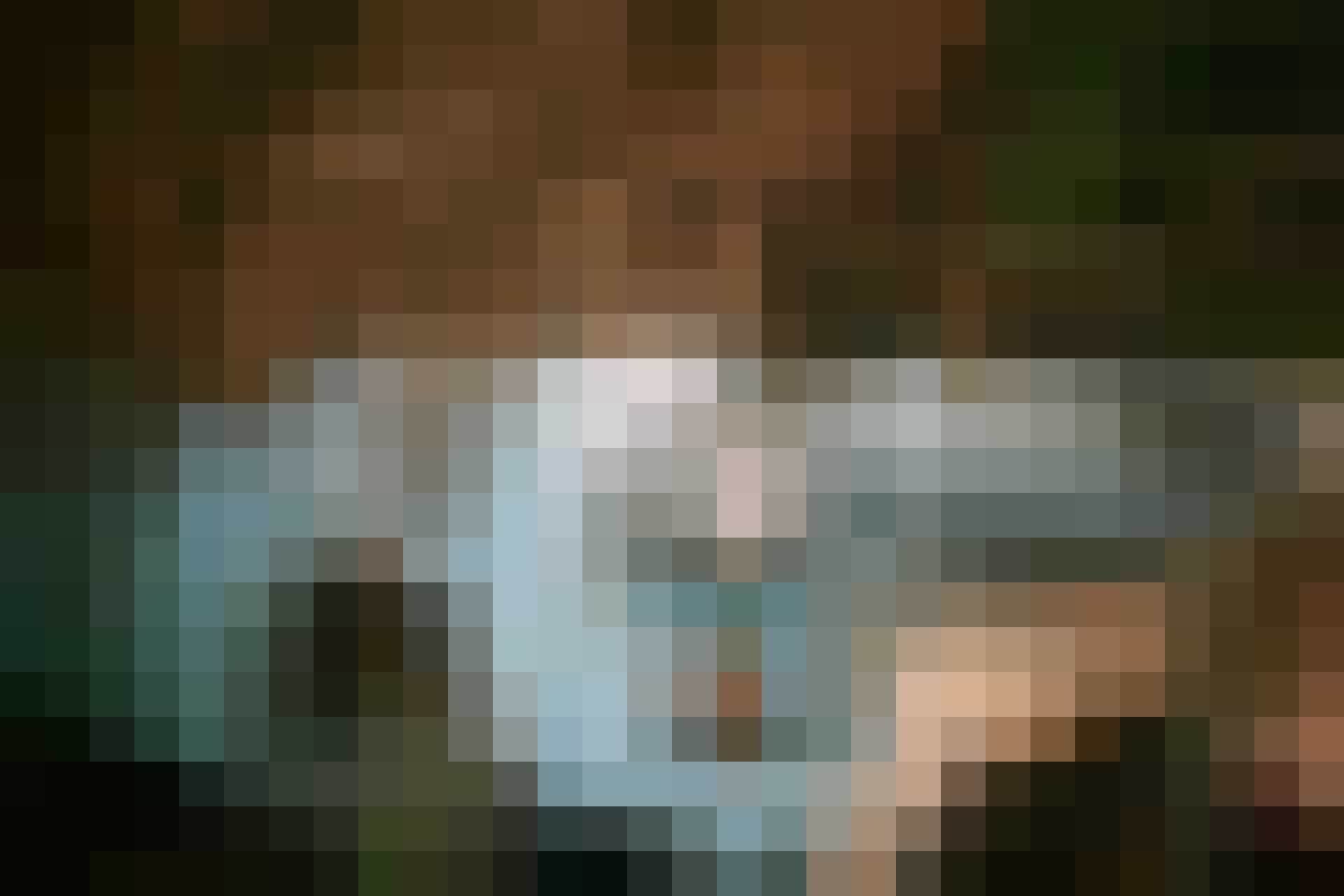 Autoverzameling gevonden gewoonvoorhem 4