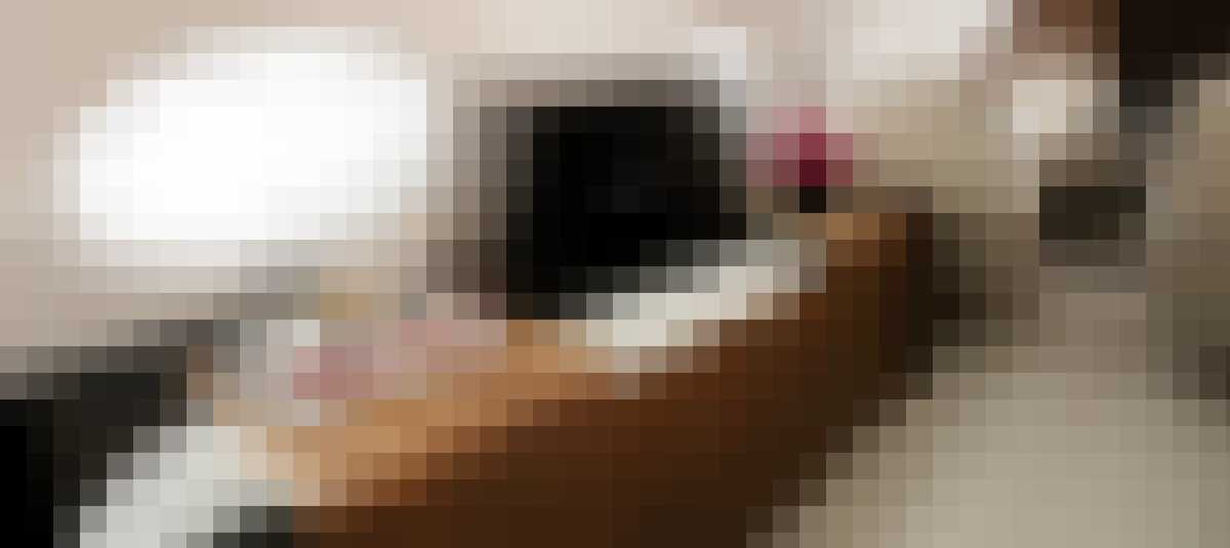 Elon Musk's Priv&eacute;jet