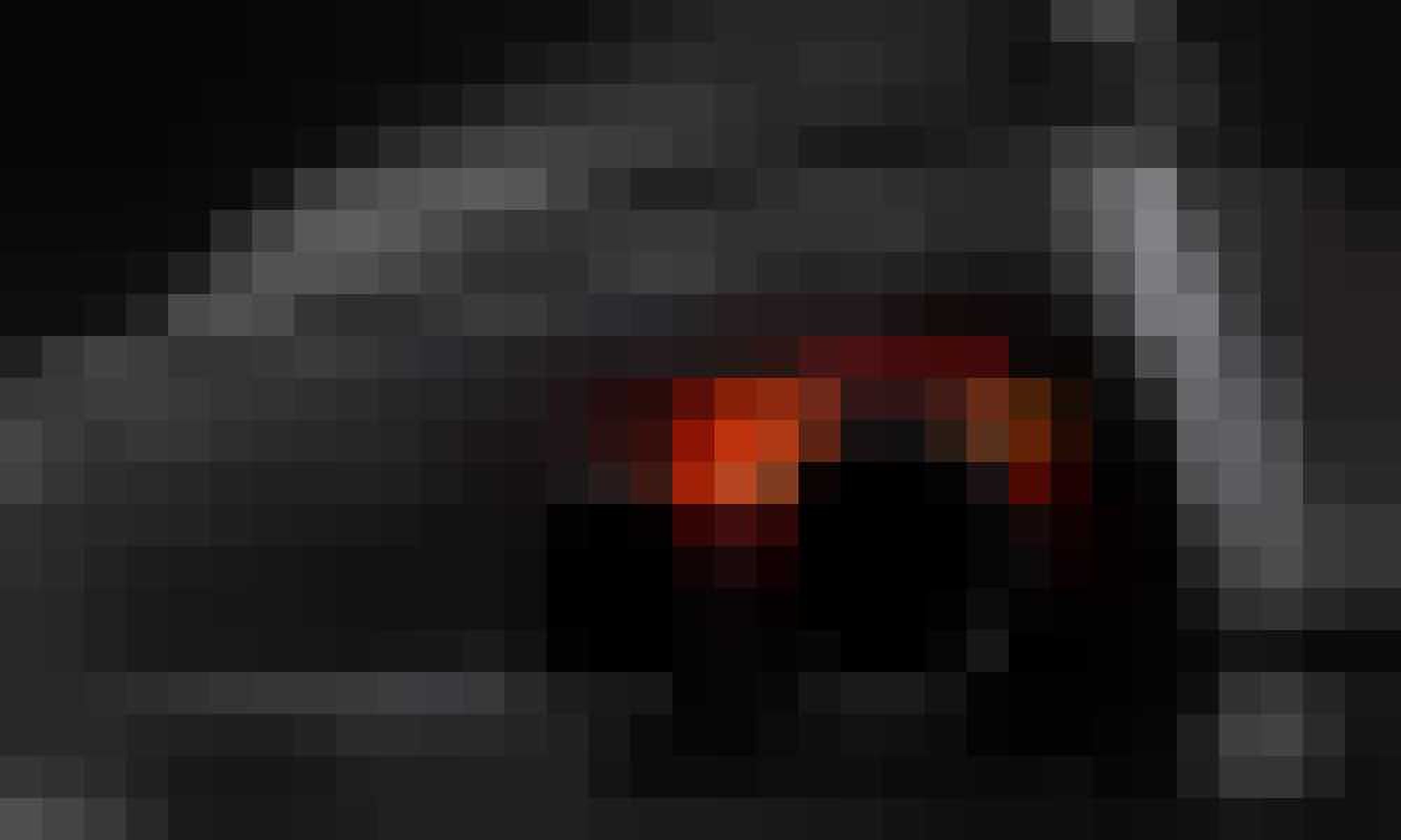 Hellephant gewoonvoorhem 4