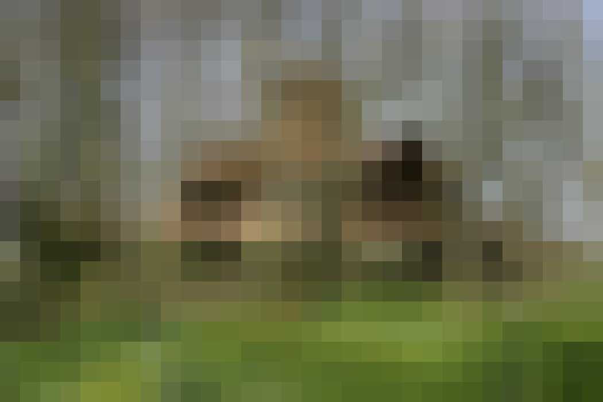 Kasteel Ackergill-toren Gewoonvoorhem