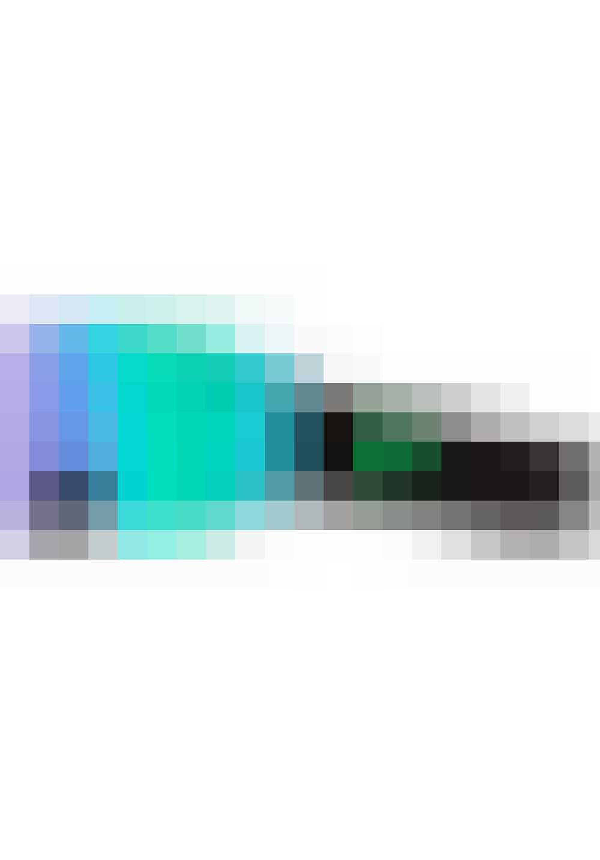 Dragon alliance skibril goggles