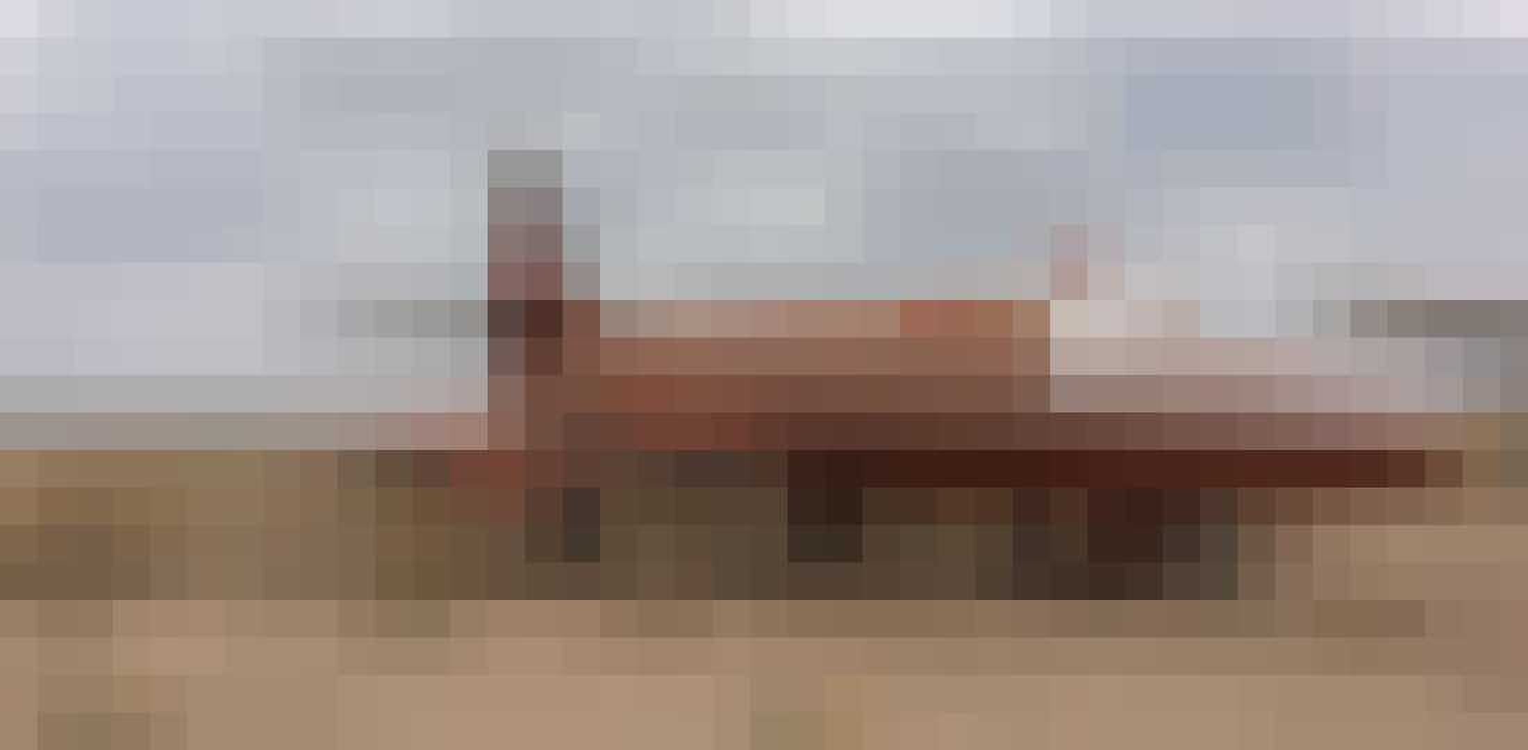 privevliegtuig elvis presley