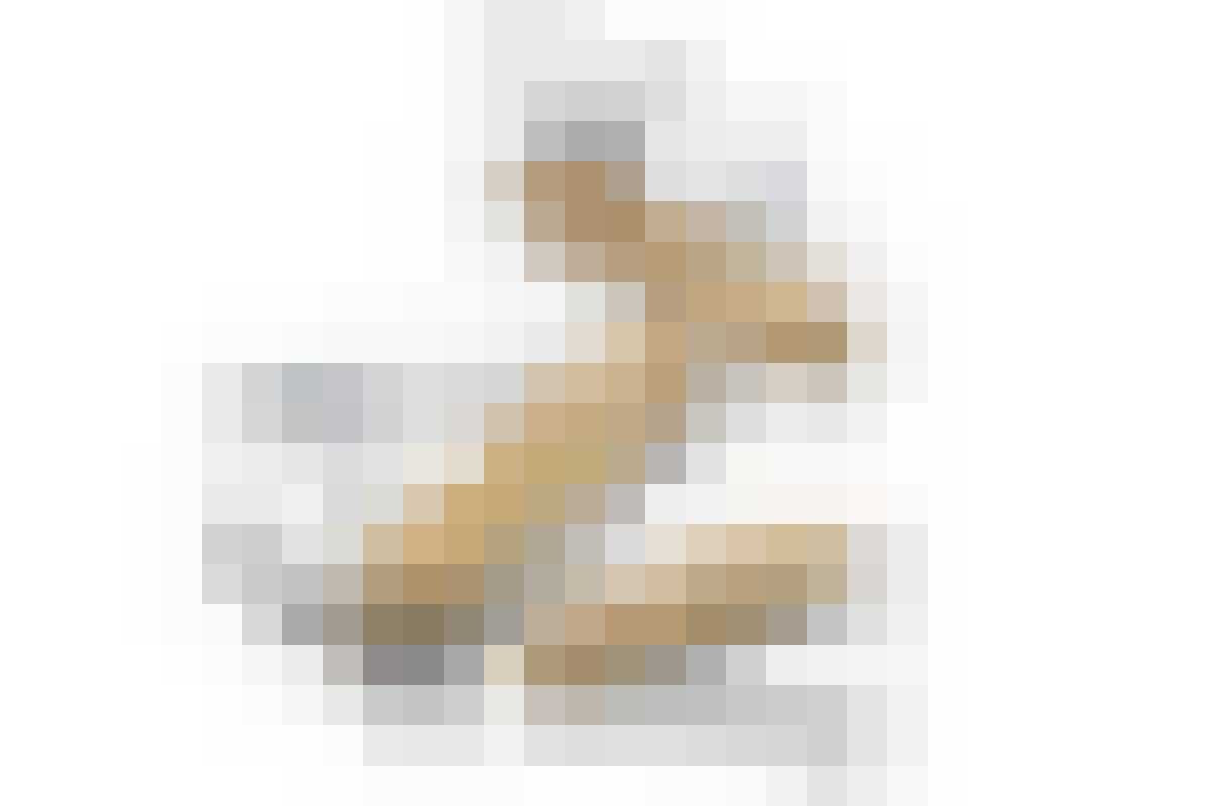 Victorinox Limited Edition Champagne Gold Gewoonvoorhem