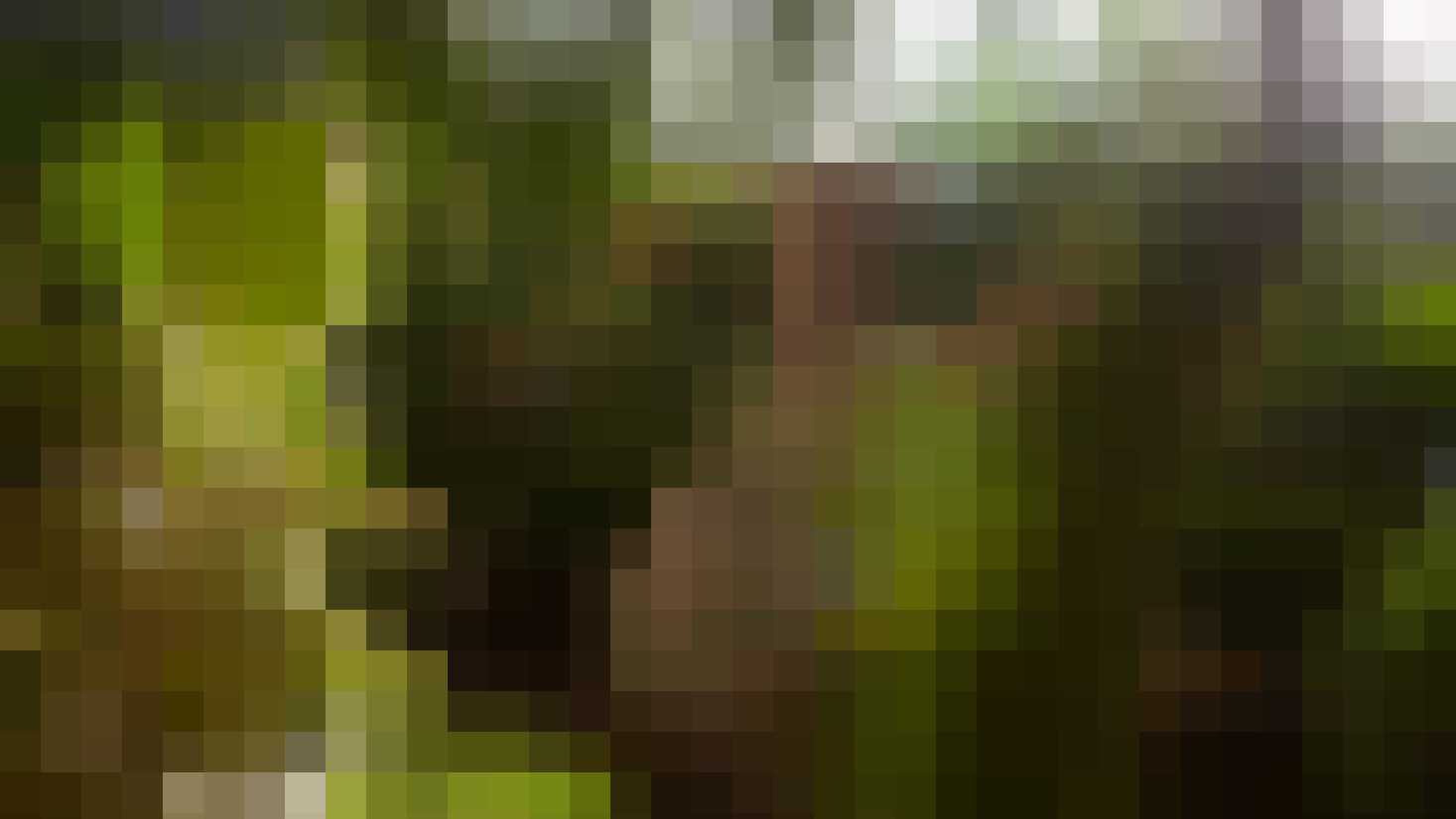 het grootste tropische zwemparadijs