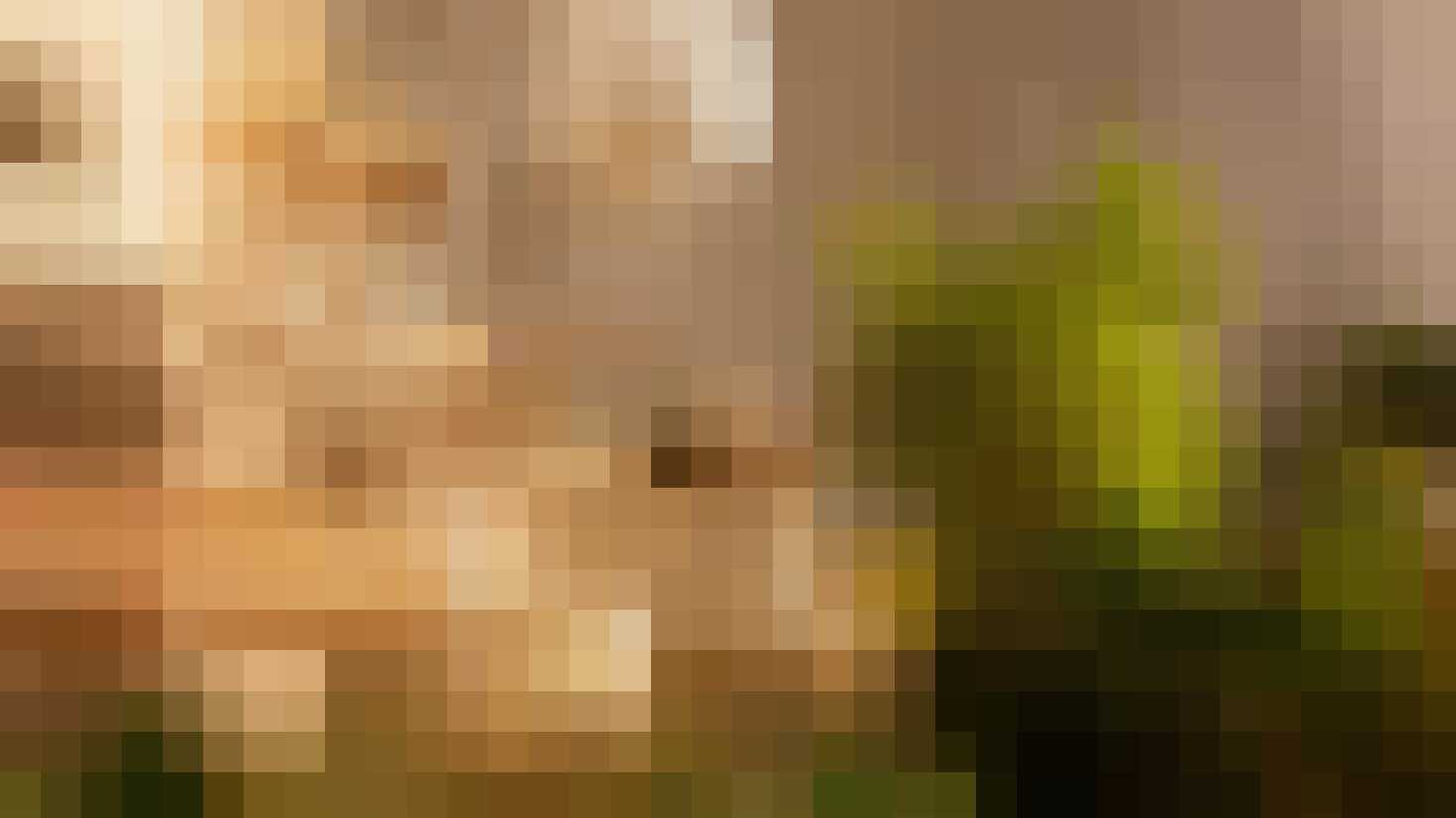 het grootste tropische zwemparadijs