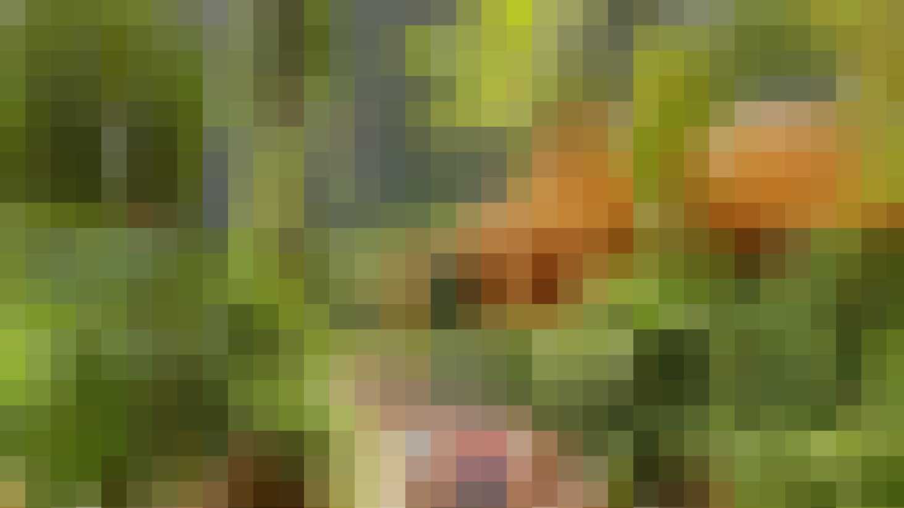 het grootste tropische zwemparadijs