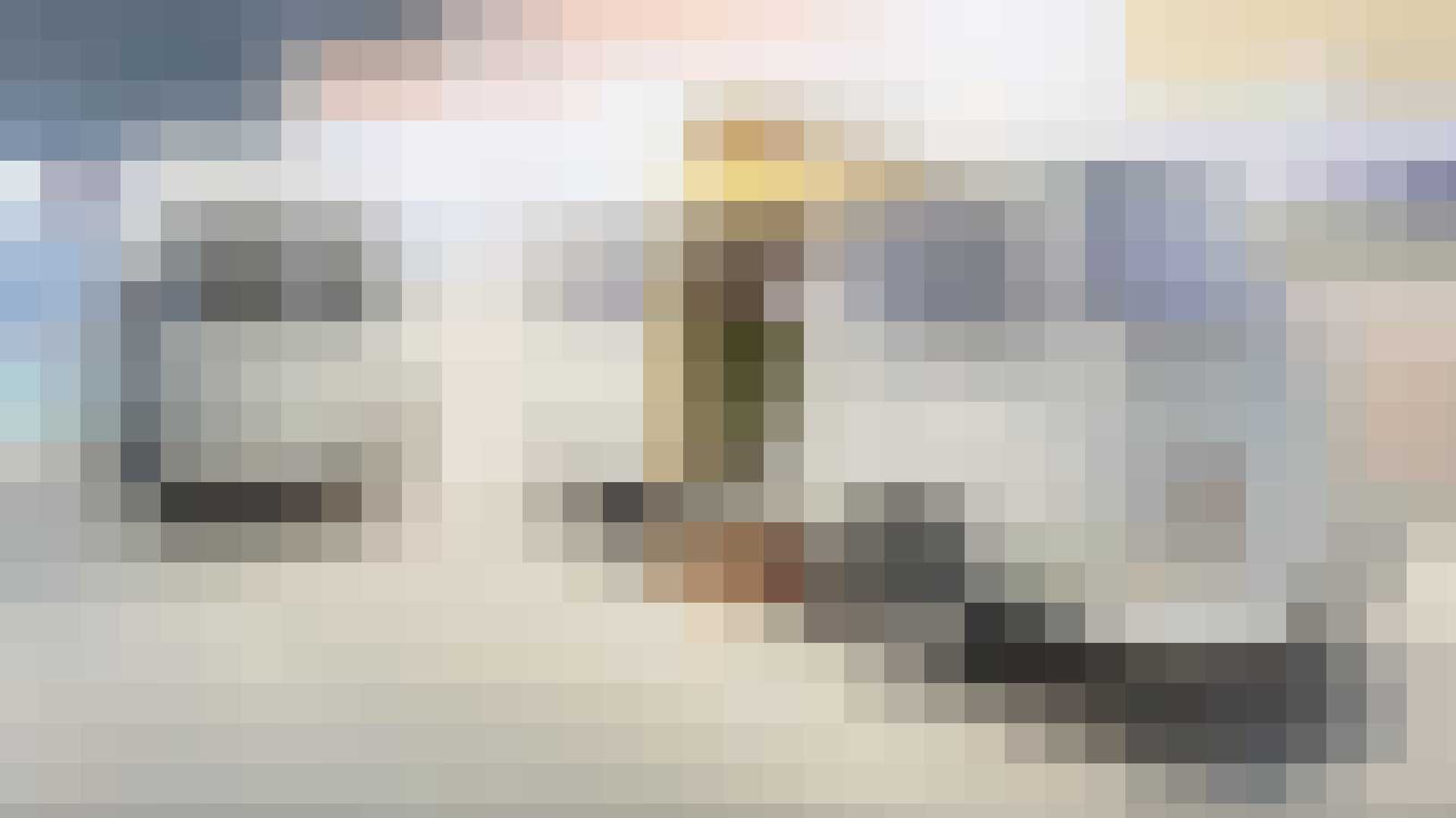 LEGO Volkswagen T2-camperbus Gewoonvoorhem