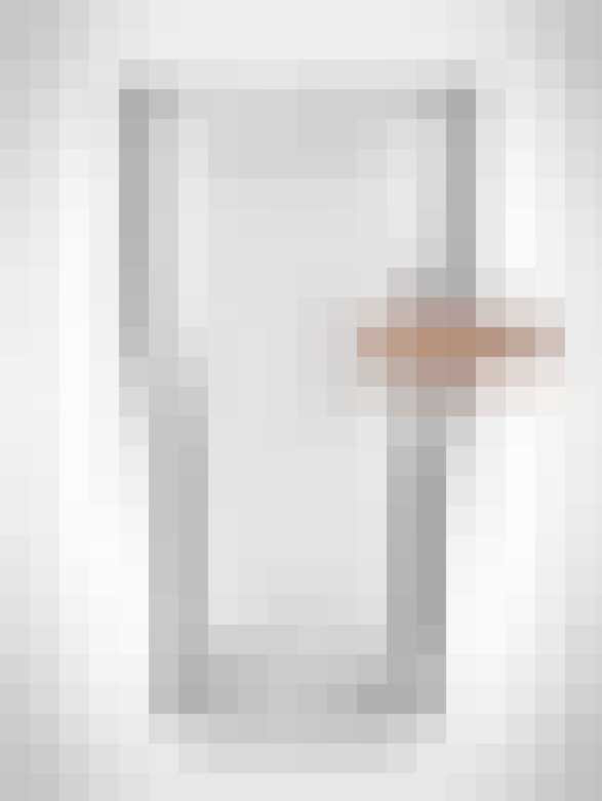 Kogelvrije glazen gewoonvoorhem 2