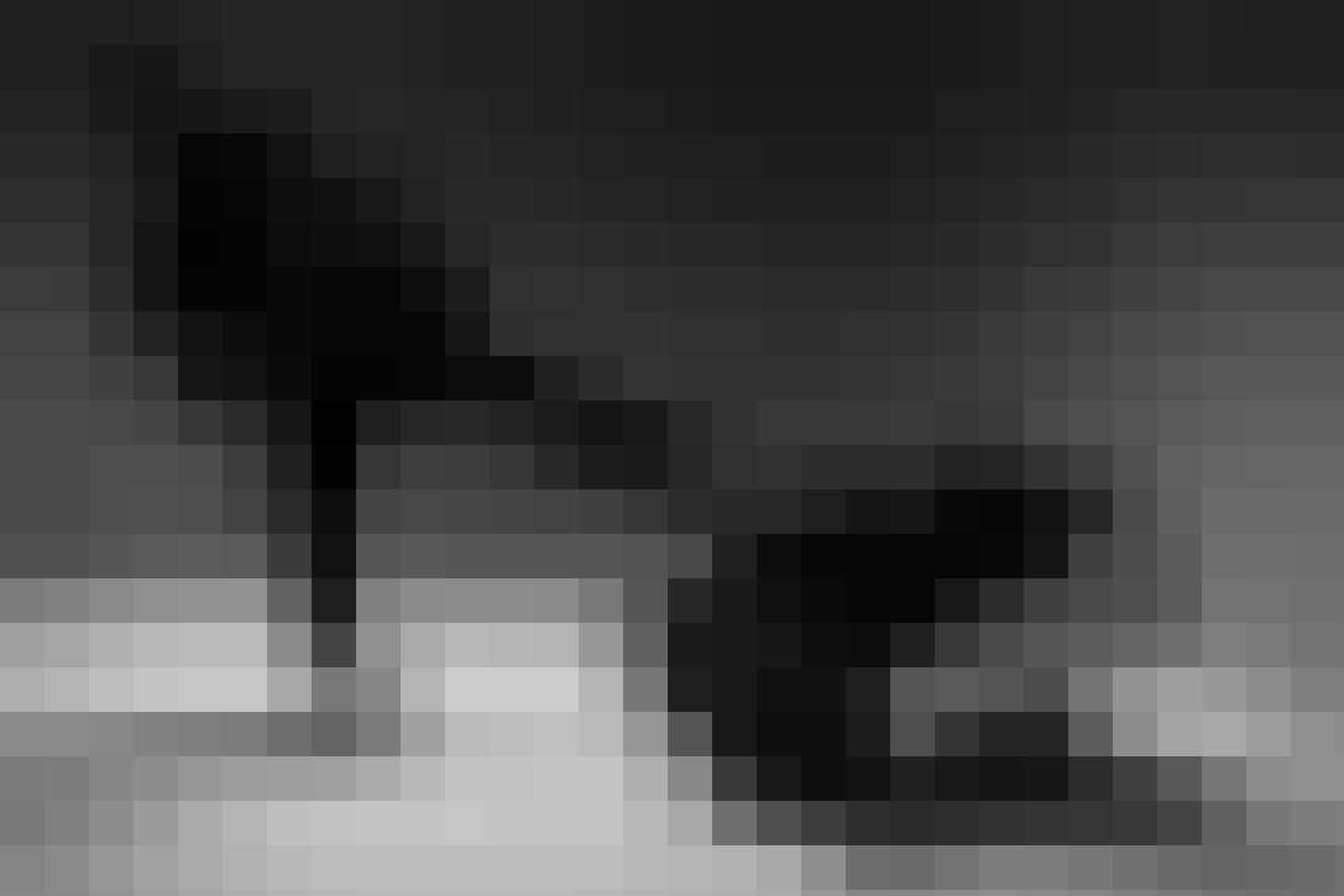 Snoped_V2-by-Joey-Ruiter-2