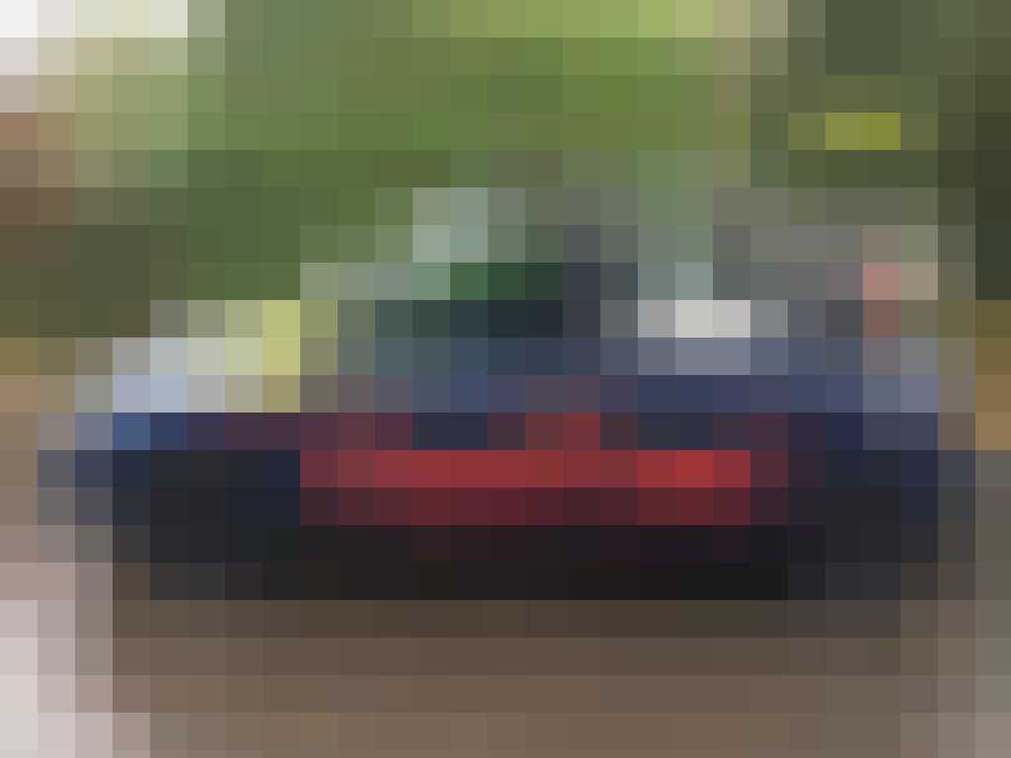 Fiat Multipla Max Verstappen Gewoonvoorhem