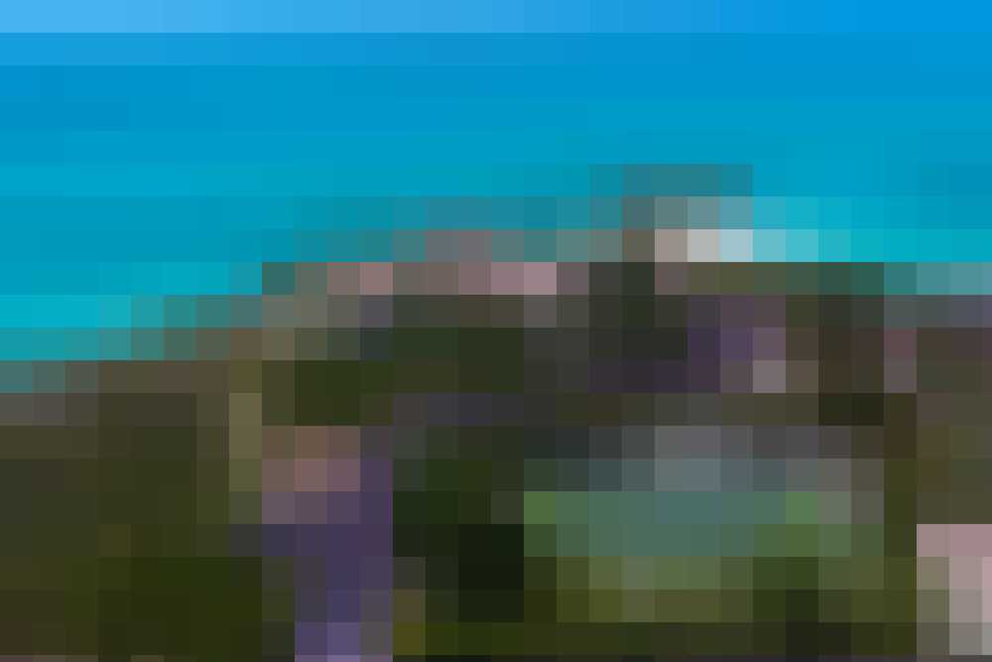 Eiland Prince Veiling