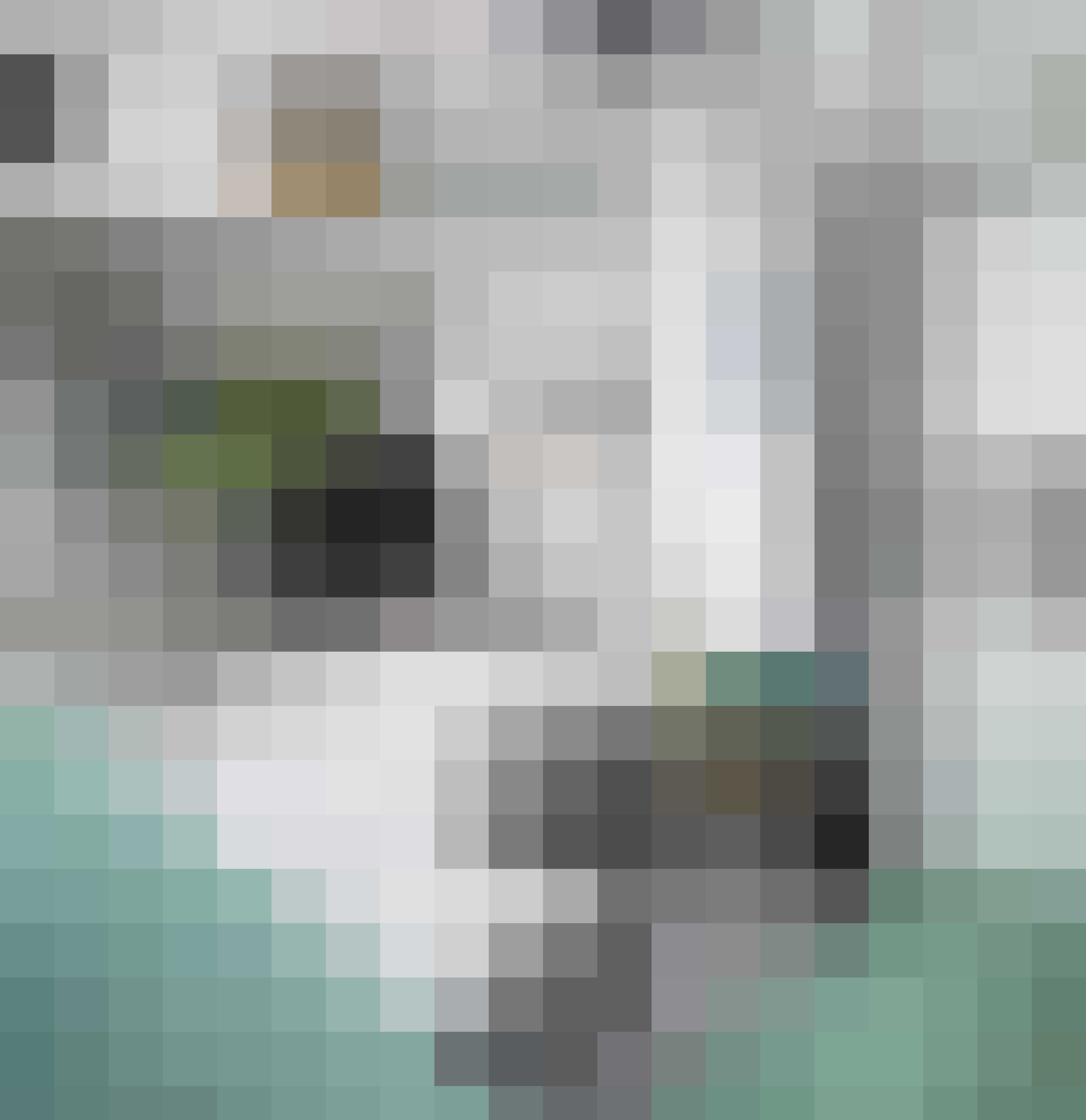 Caravan Airstream Nest