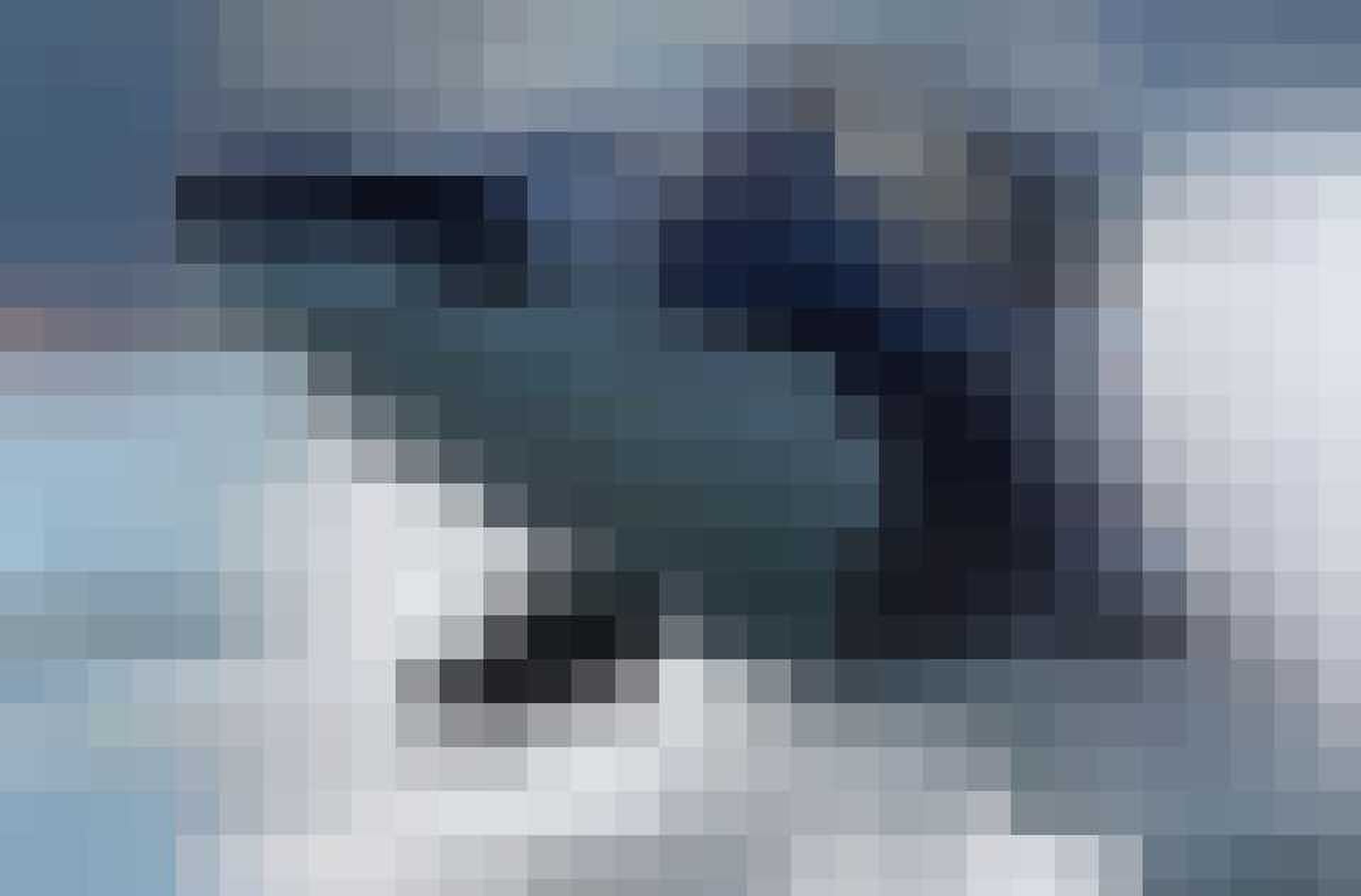 Orca Seabreacher Predator Adventures