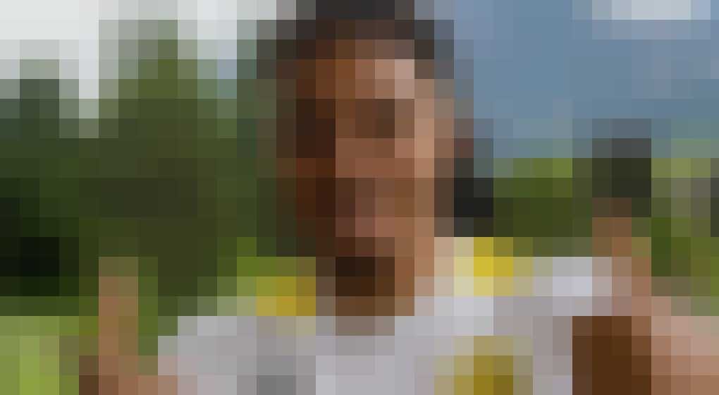 Donyell Malen