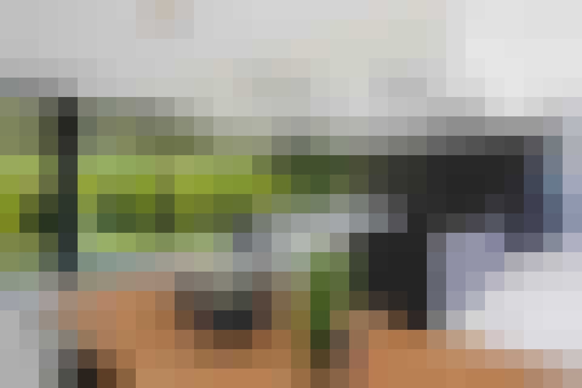 droomhuis glasshouse gewoonvoorhem