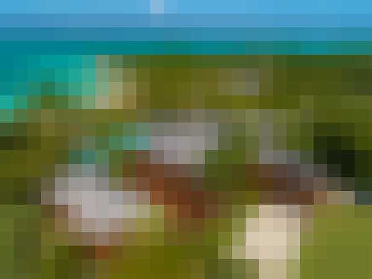 Landgoed op de Antillen