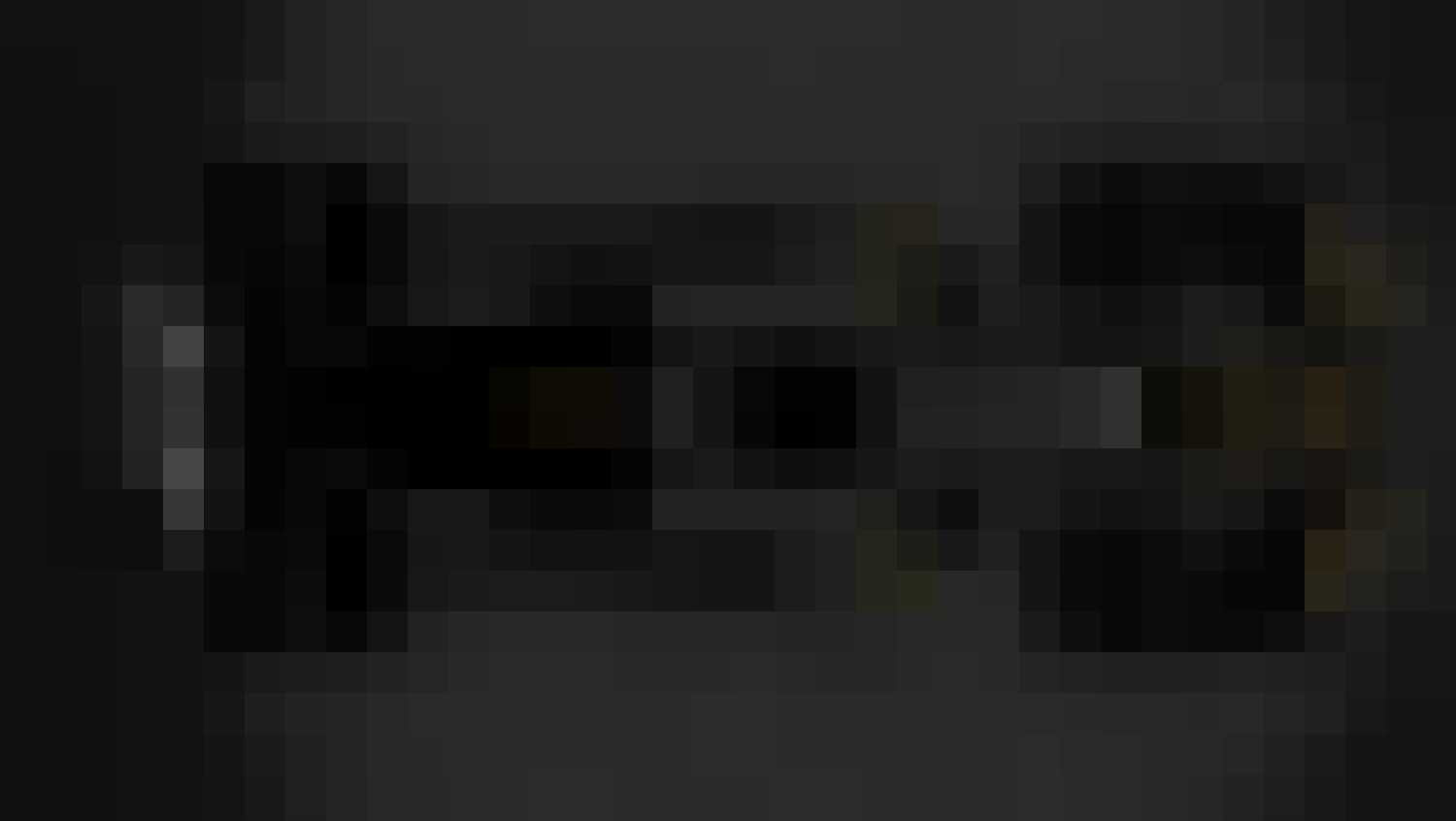 Haas Formule 1-seizoen Gewoonvoorhem