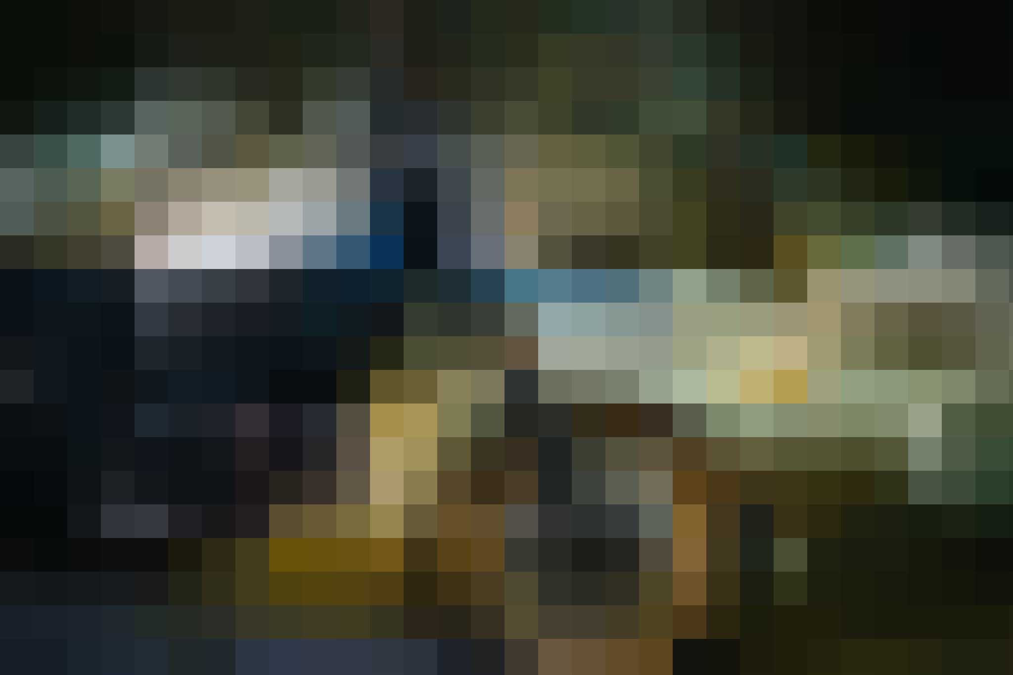 Ducati Scrambler Desert Sled