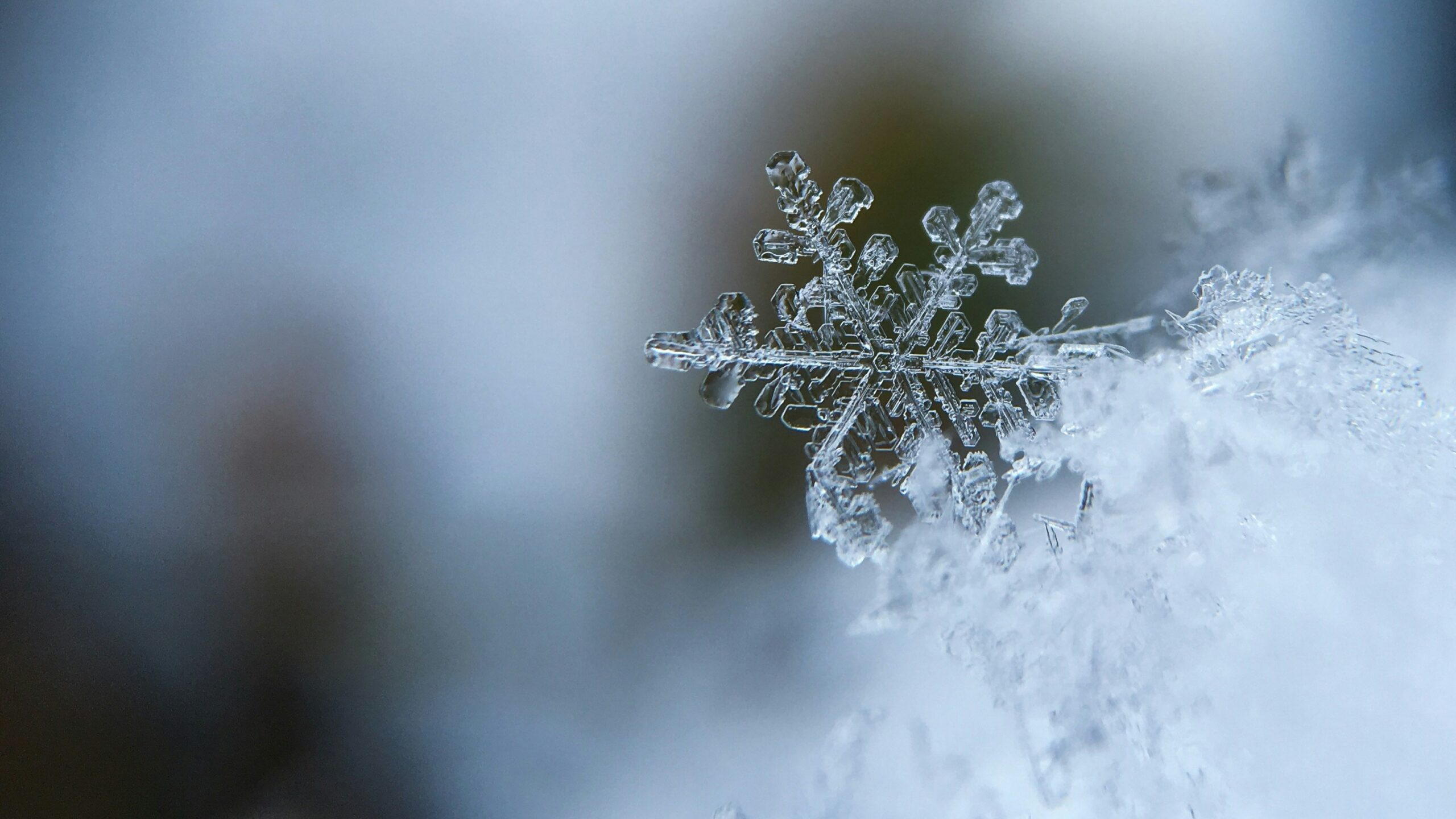 Een gedetailleerde foto van een sneeuwvlokje