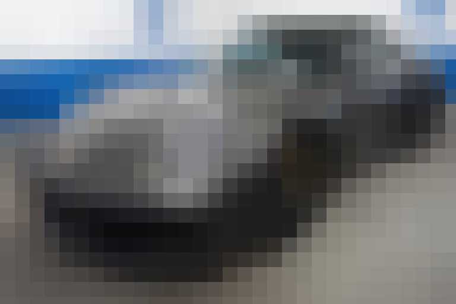 Porsche Domeinen Roerende Zaken