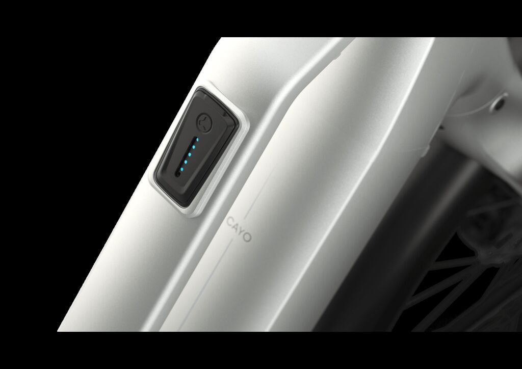 De accu-indicator van de Gazelle Cayo C310