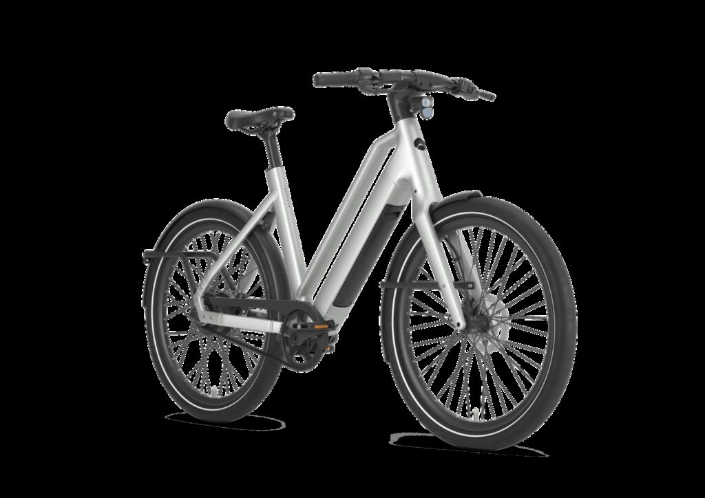 De Gazelle Cayo C310