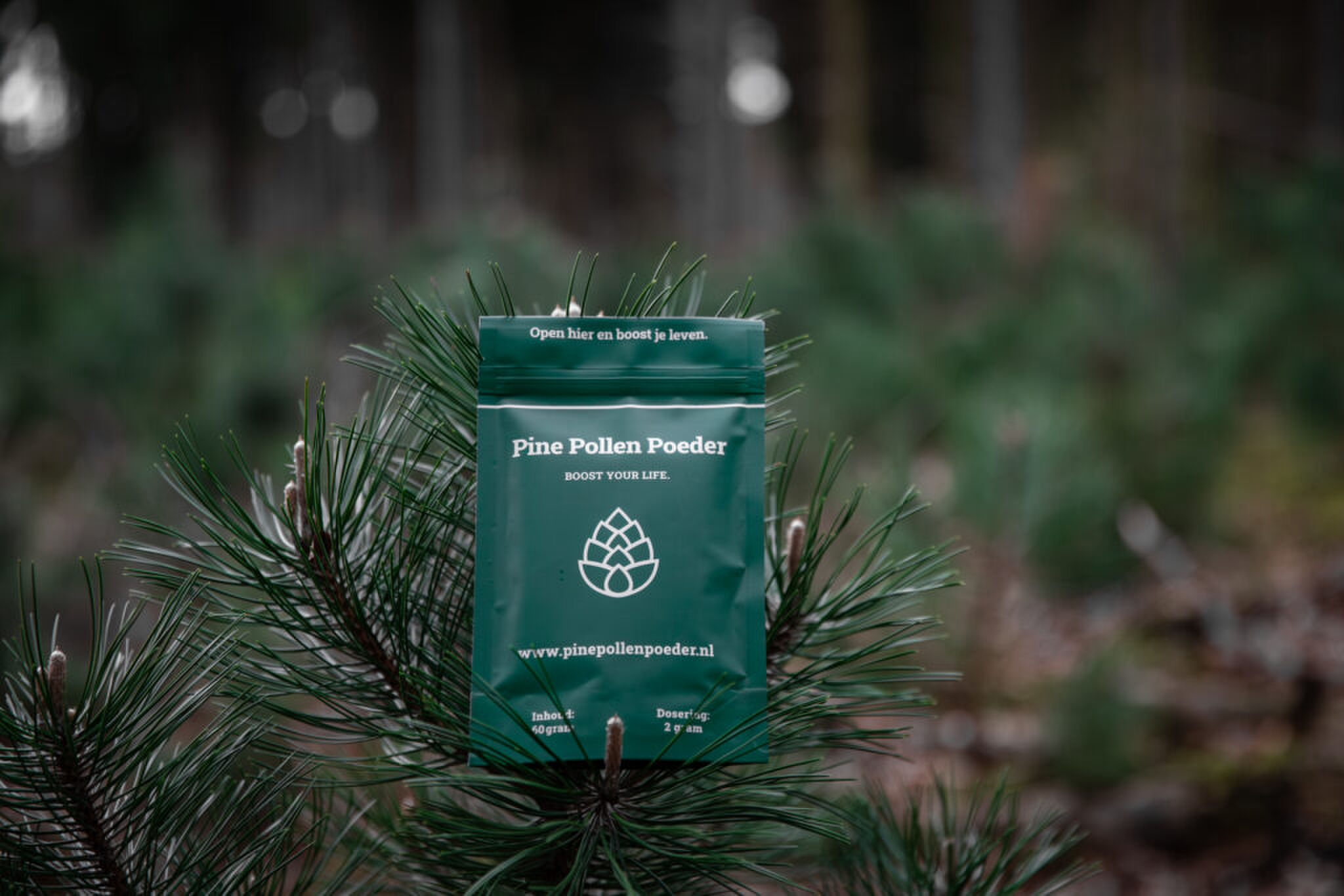 Pine Pollen Poeder