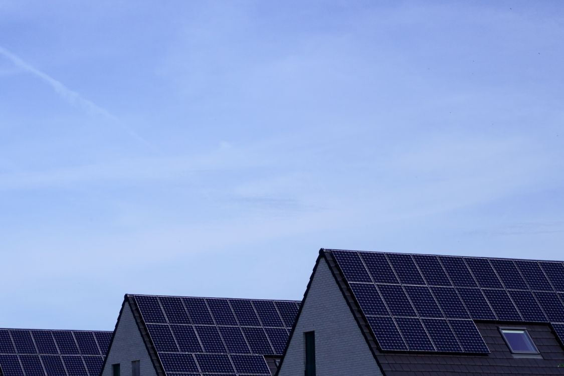 daken vol met zonnepanelen