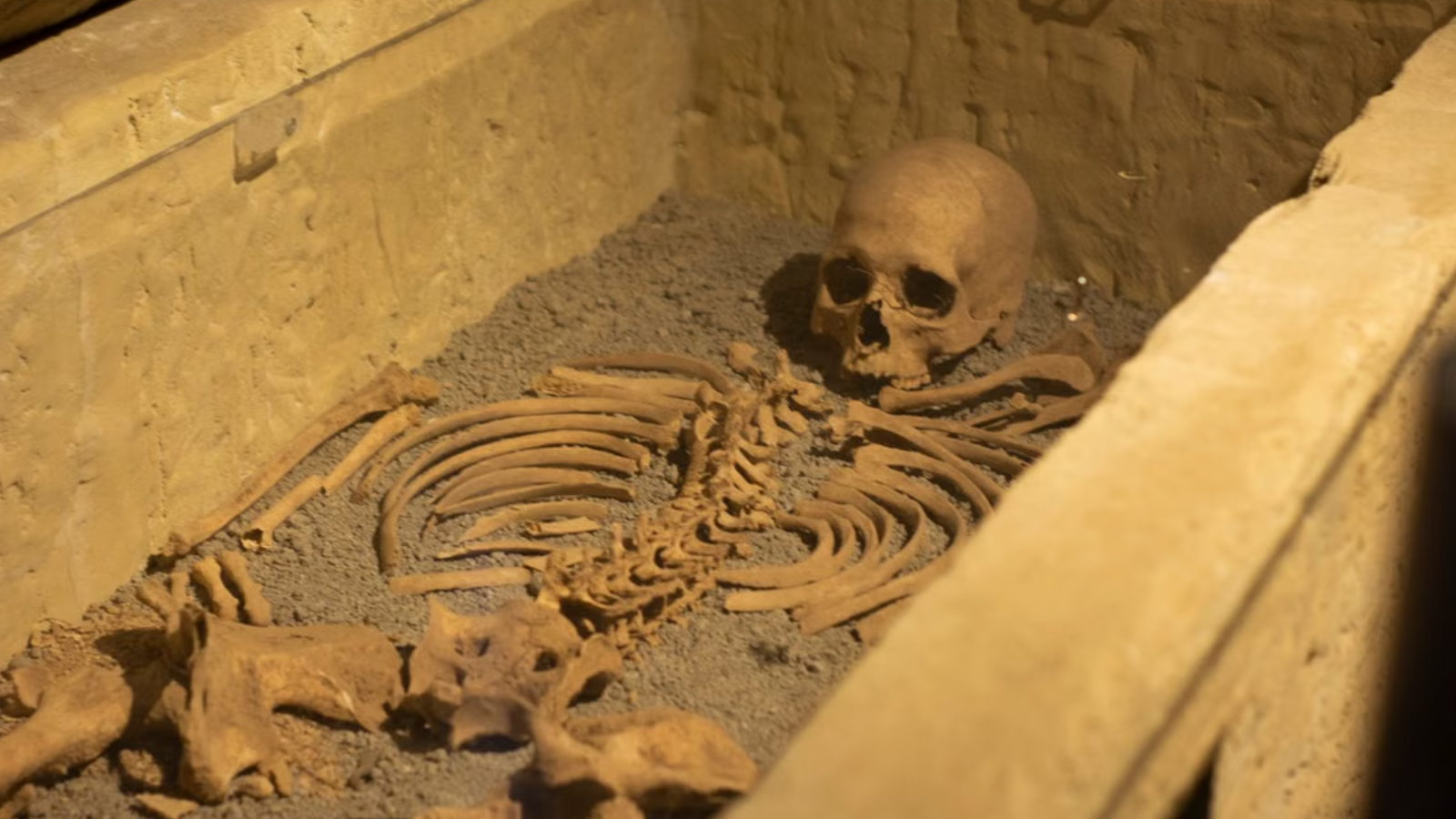 Een mummy in een kist