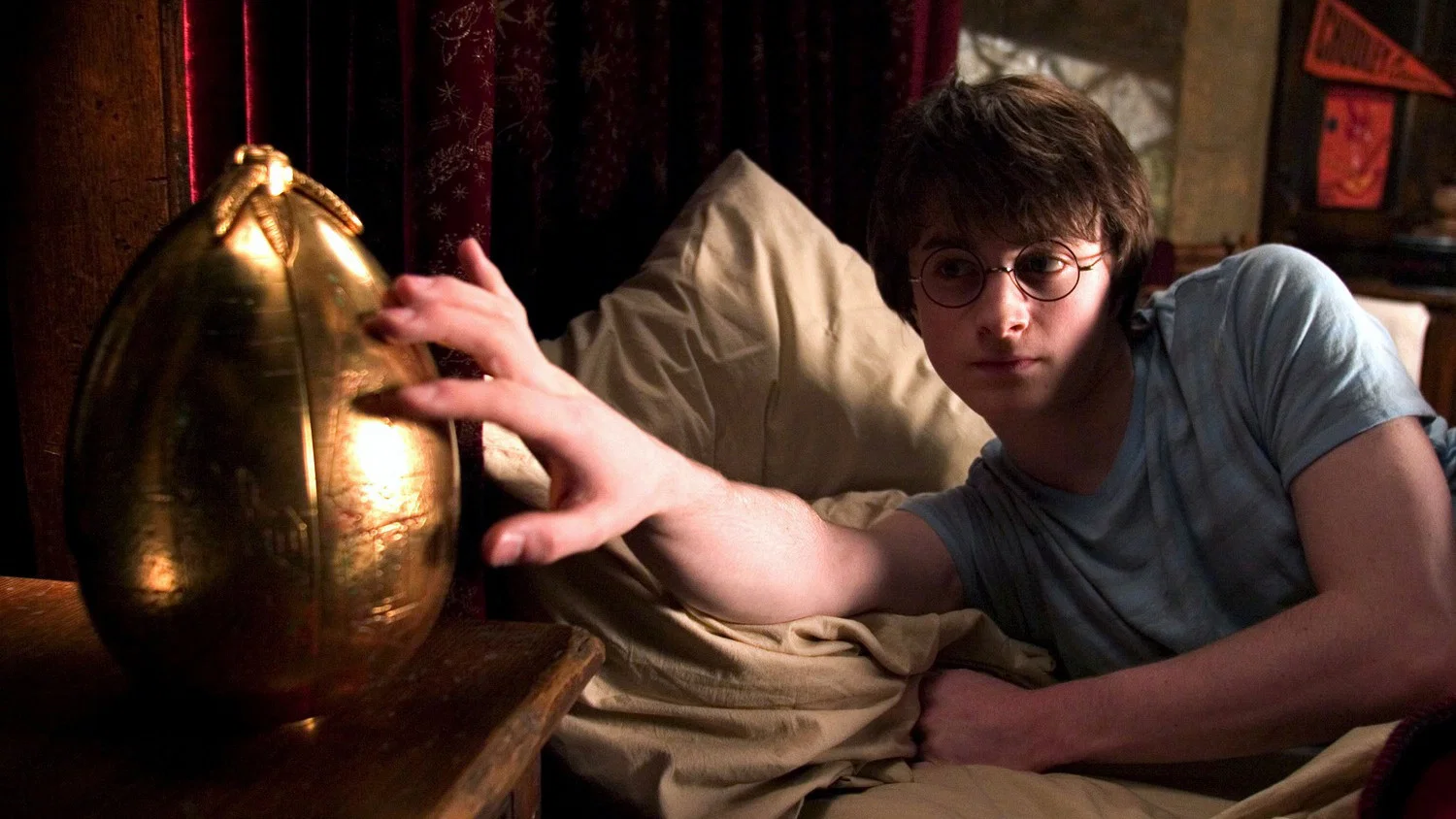 Harry Potter met het gouden ei