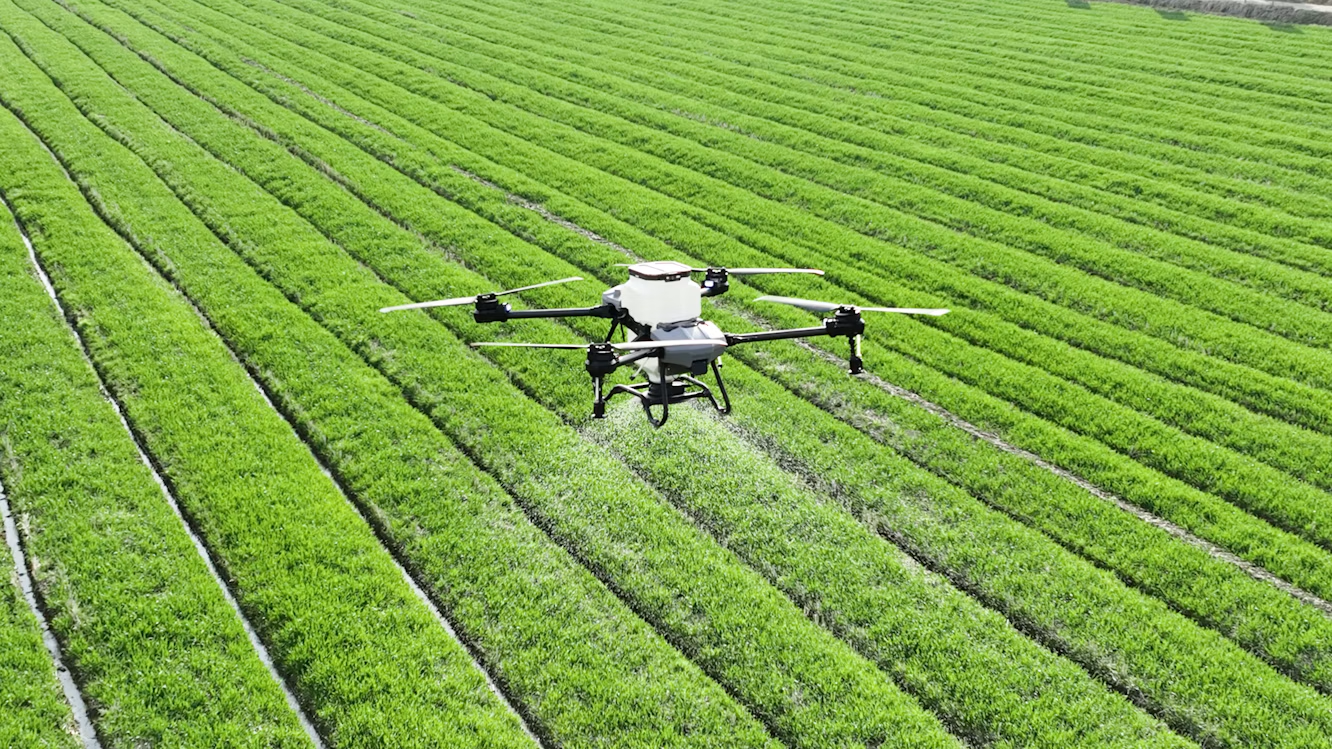 Een drone vliegt over gewassen