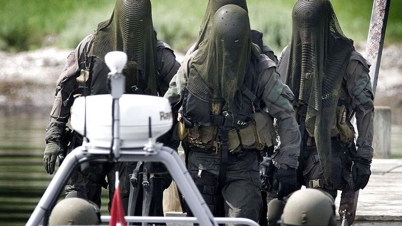 Illustratie voor: Huntsmen Corps, de special forces van Denemarken