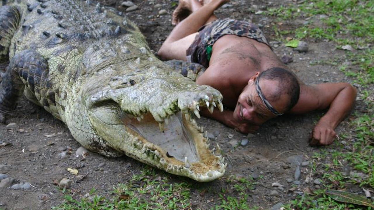 Illustratie voor: Deze man heeft een ongelofelijke vriendschap met een gigantische krokodil