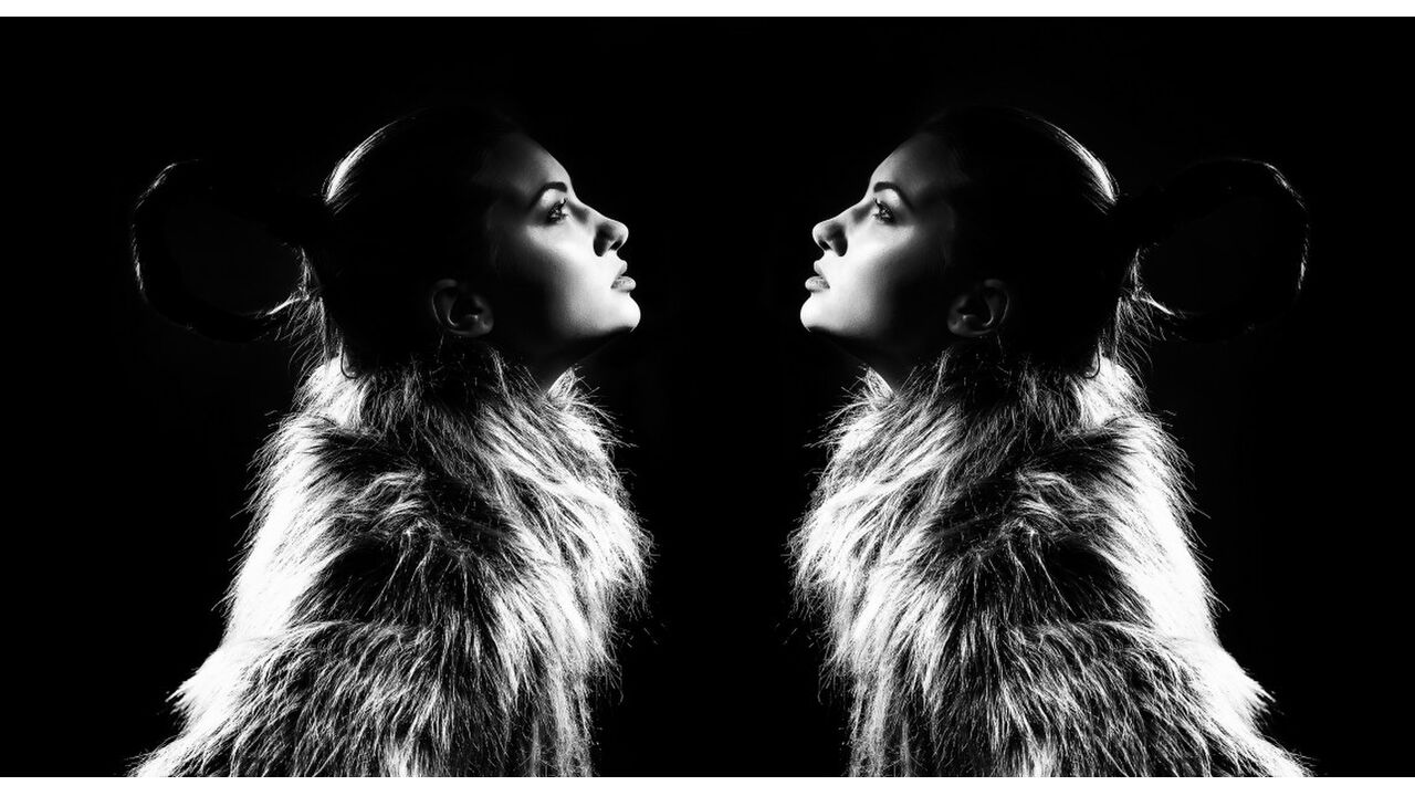 Illustratie voor: De meest exclusieve club MAD FOX opent binnenkort haar deuren in Amsterdam