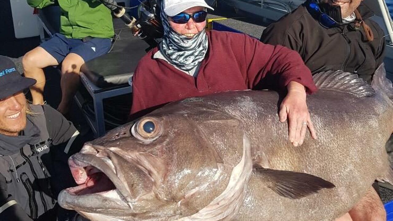 Illustratie voor: Engelse dame (68) hengelt 62 kilo wegende vis binnen