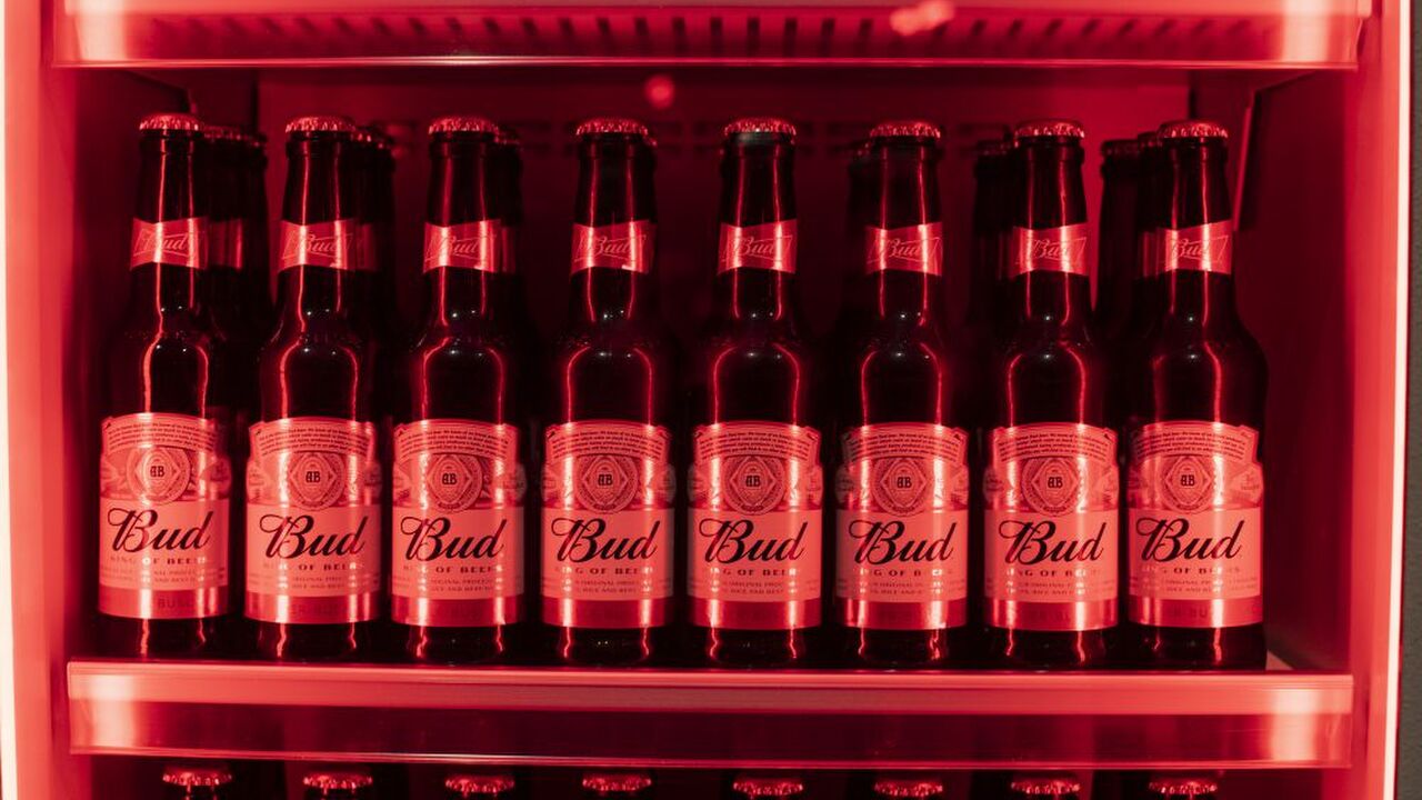 Bud bier Nederland